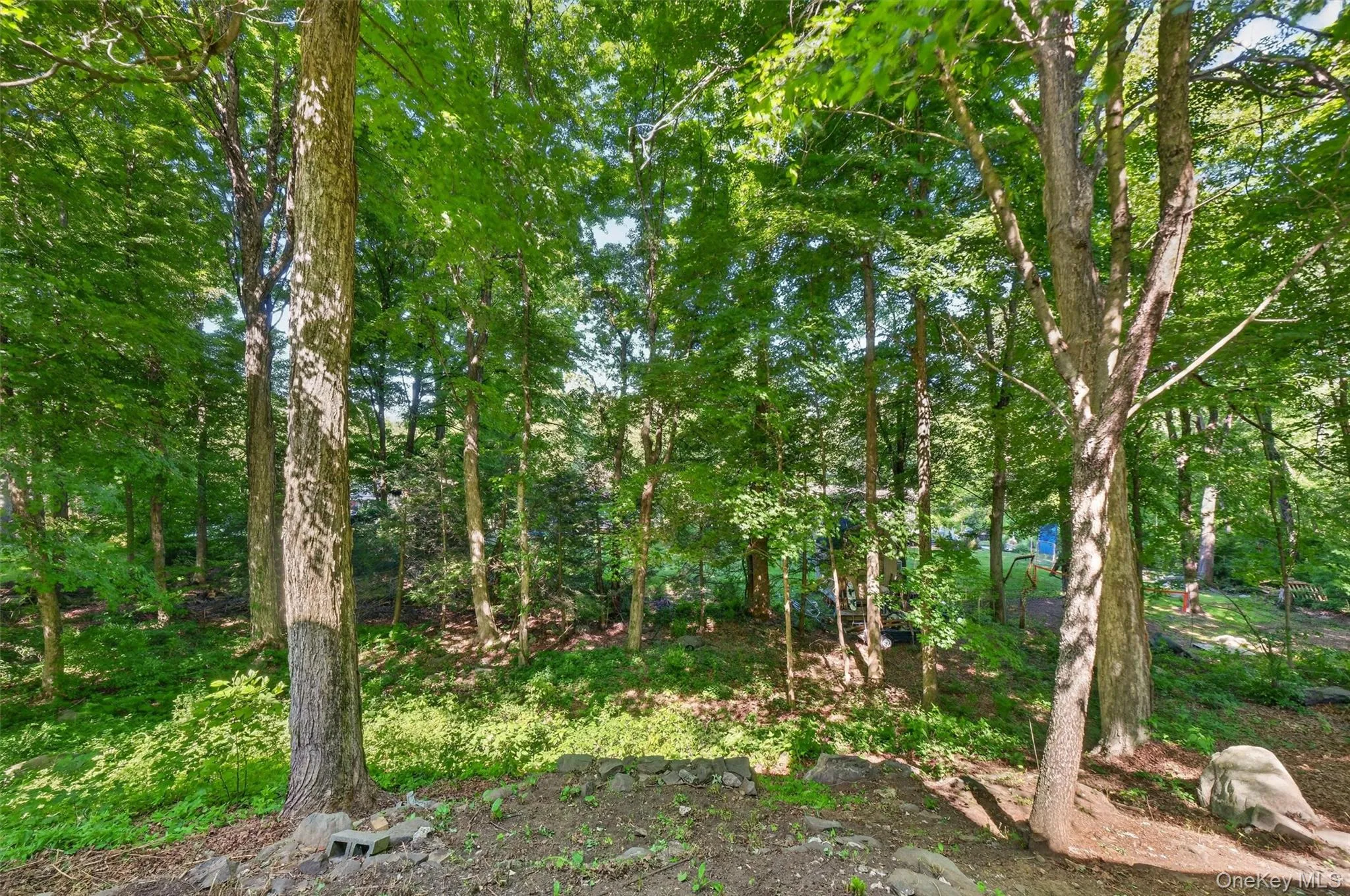 Private wooded backyard area. Private wooded backyard area.