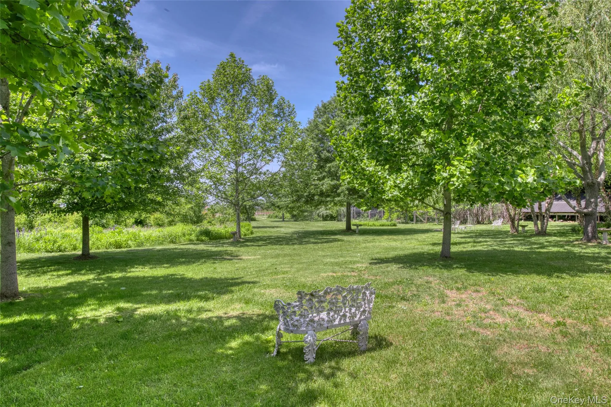 huge yard huge yard