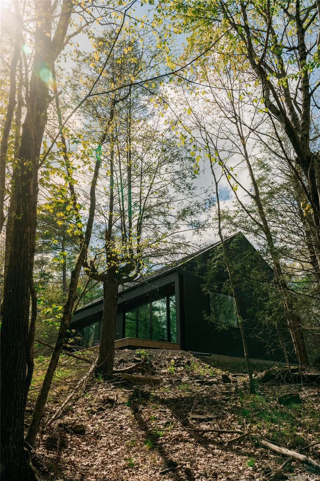 115 Goat Hill Road, Saugerties, NY, 1 Bedroom Bedrooms, 4 Rooms Rooms,1 BathroomBathrooms,Residential,For Rent,Goat Hill,0,1007349 115 Goat Hill Road, Saugerties, NY, 1 Bedroom Bedrooms, 4 Rooms Rooms,1 BathroomBathrooms,Residential,For Rent,Goat Hill,0,1007349