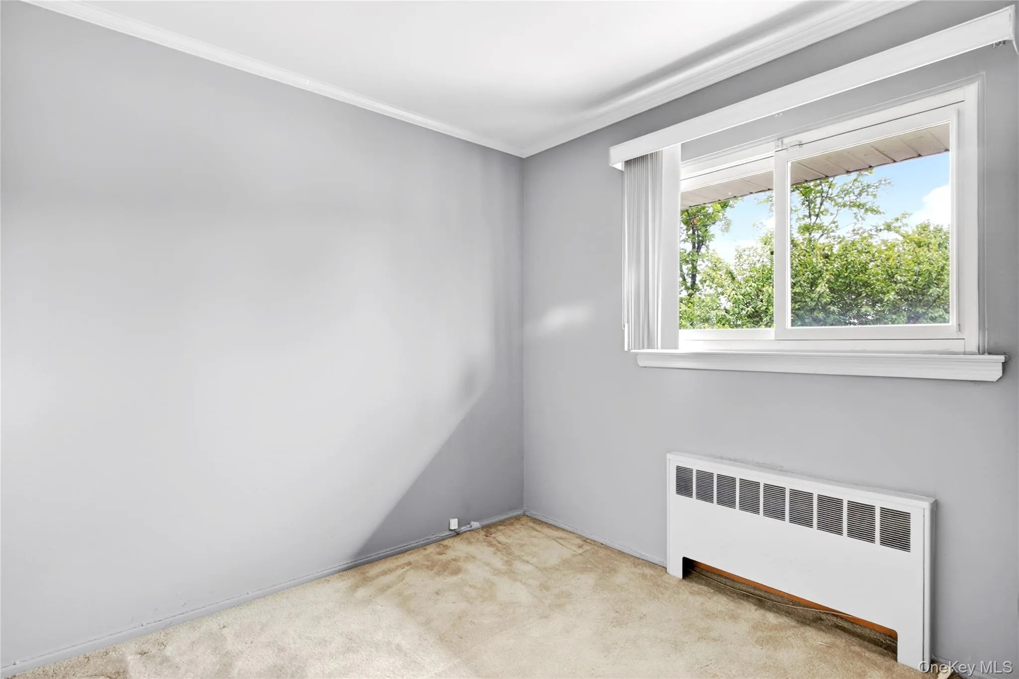 354 Terrace Avenue, Hempstead, NY, 3 Bedrooms Bedrooms, 7 Rooms Rooms,2 BathroomsBathrooms,Residential,For Rent,Terrace,0,1007364 354 Terrace Avenue, Hempstead, NY, 3 Bedrooms Bedrooms, 7 Rooms Rooms,2 BathroomsBathrooms,Residential,For Rent,Terrace,0,1007364
