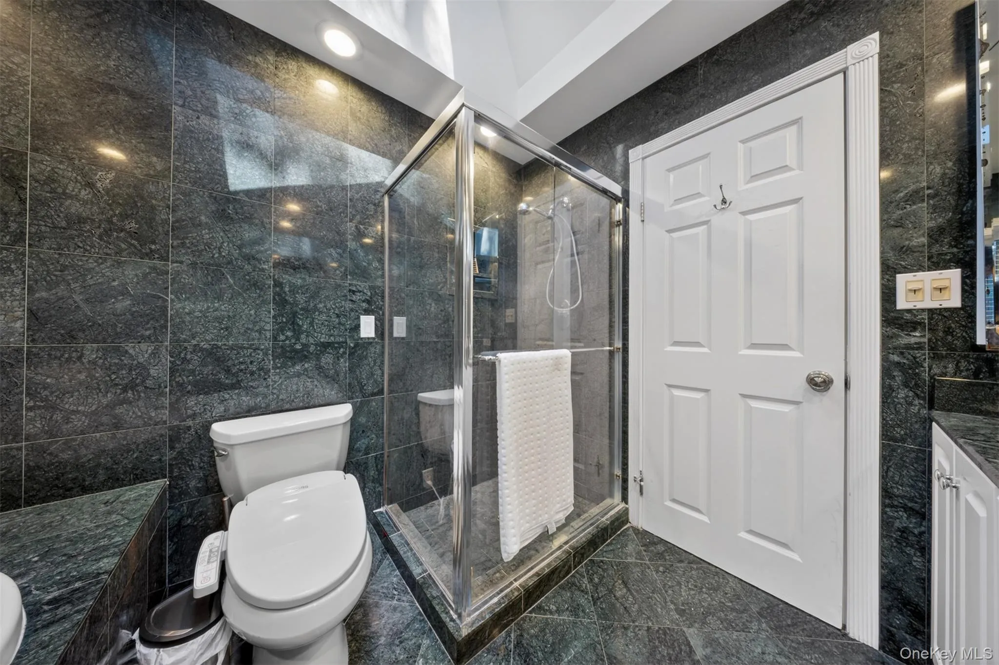 125 Mimosa Drive, North Hempstead, NY, 5 Bedrooms Bedrooms, 10 Rooms Rooms,3 BathroomsBathrooms,Residential,For Rent,Mimosa,0,1007376 125 Mimosa Drive, North Hempstead, NY, 5 Bedrooms Bedrooms, 10 Rooms Rooms,3 BathroomsBathrooms,Residential,For Rent,Mimosa,0,1007376