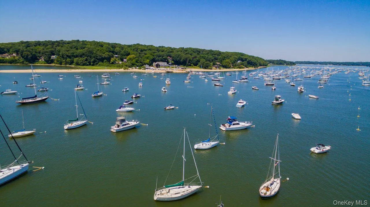 Expansive waterfront with numerous boats anchored in the bay, backed by a sandy shoreline and dense tree line Expansive waterfront with numerous boats anchored in the bay, backed by a sandy shoreline and dense tree line