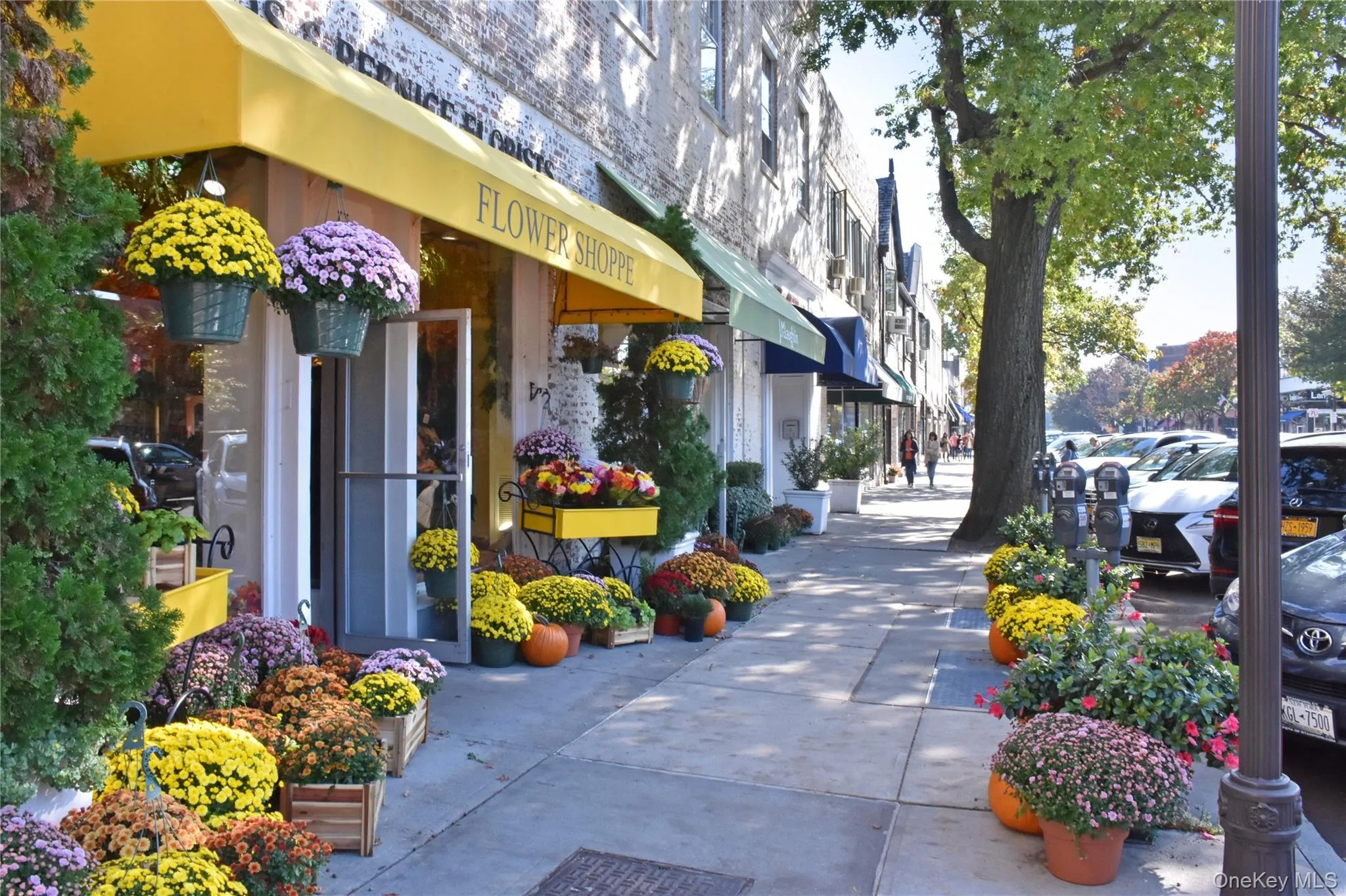 91 Parkway Road, Eastchester, NY, 2 Bedrooms Bedrooms, 4 Rooms Rooms,1 BathroomBathrooms,Residential Lease,For Rent,Parkway,0,1007409 91 Parkway Road, Eastchester, NY, 2 Bedrooms Bedrooms, 4 Rooms Rooms,1 BathroomBathrooms,Residential Lease,For Rent,Parkway,0,1007409
