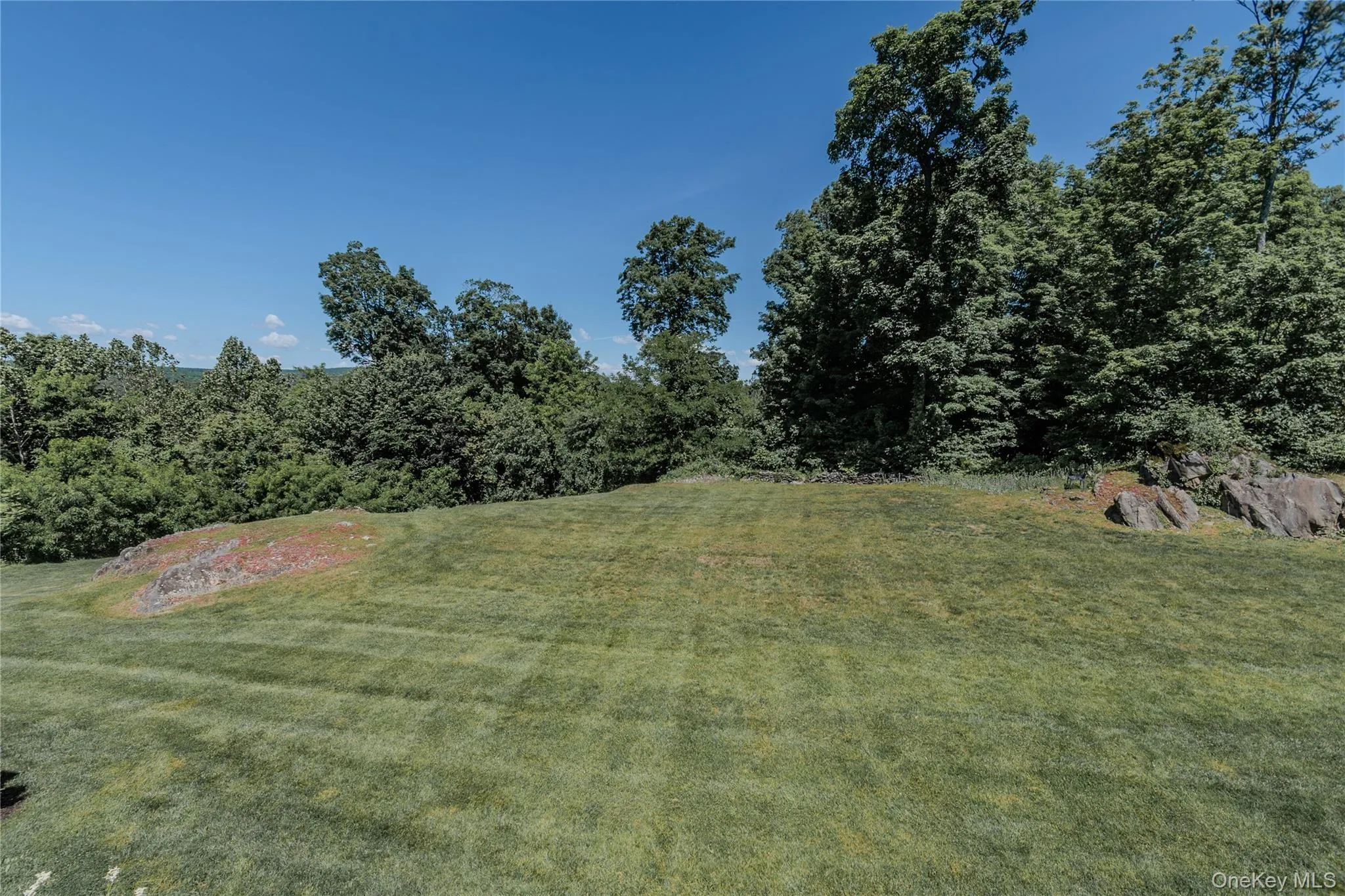 extra large yard extra large yard