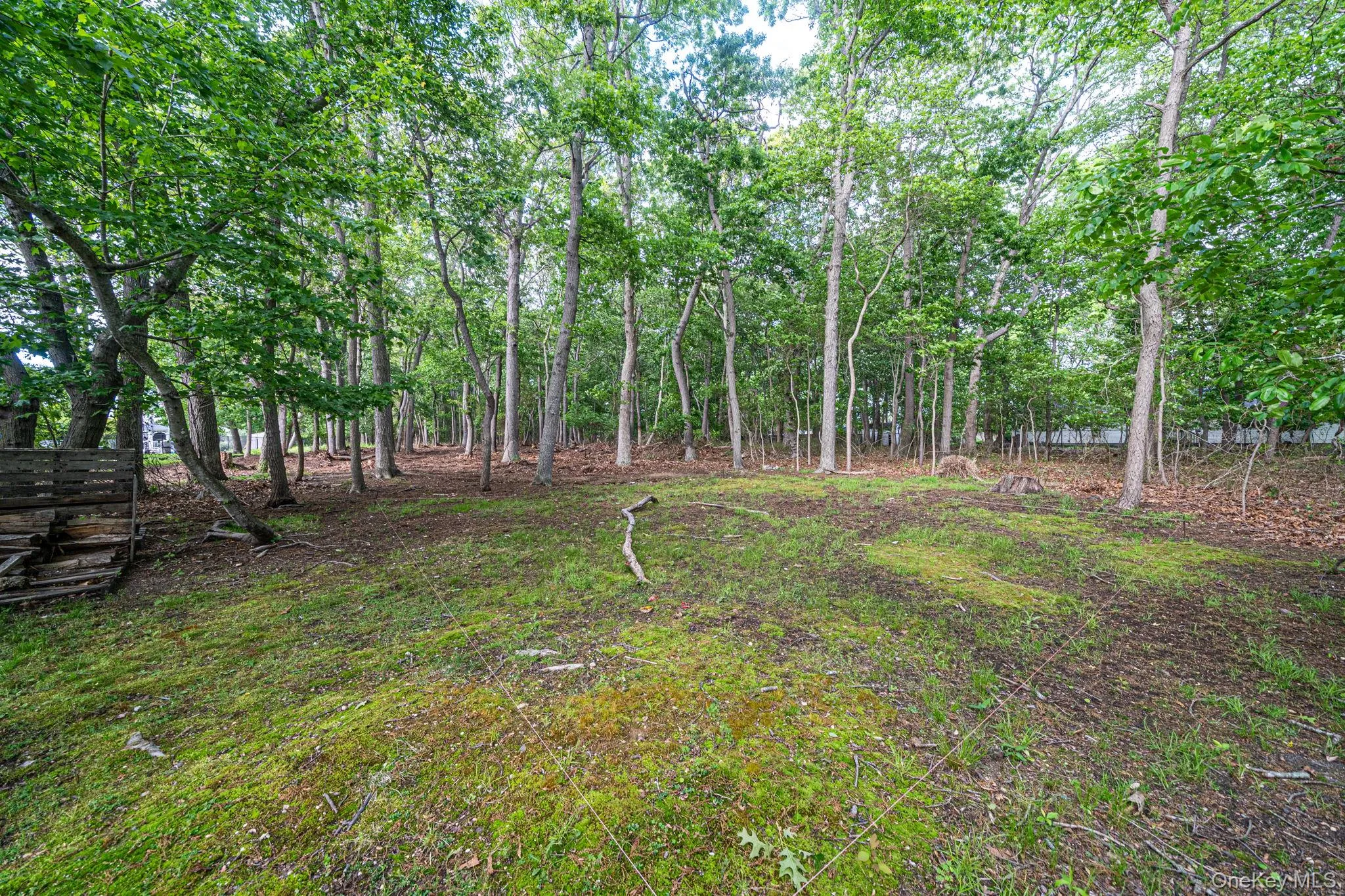 41 Paige Lane, Brookhaven, NY, 3 Bedrooms Bedrooms, 10 Rooms Rooms,3 BathroomsBathrooms,Residential,For Rent,Paige,0,1007441 41 Paige Lane, Brookhaven, NY, 3 Bedrooms Bedrooms, 10 Rooms Rooms,3 BathroomsBathrooms,Residential,For Rent,Paige,0,1007441