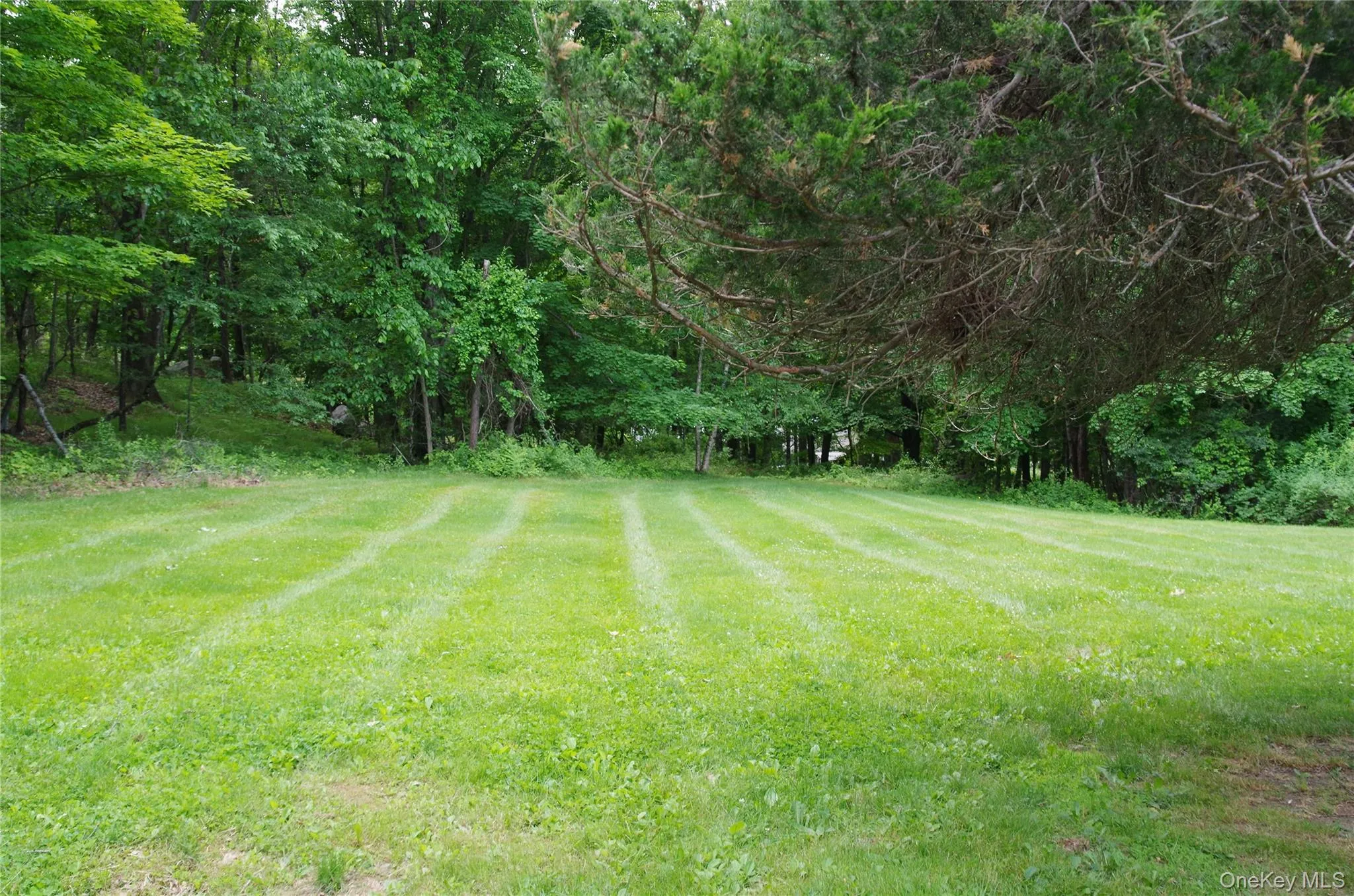 2464 Route 82, La Grange, NY, 4 Bedrooms Bedrooms, 8 Rooms Rooms,2 BathroomsBathrooms,Residential Lease,For Rent,Route 82,0,1007444 2464 Route 82, La Grange, NY, 4 Bedrooms Bedrooms, 8 Rooms Rooms,2 BathroomsBathrooms,Residential Lease,For Rent,Route 82,0,1007444