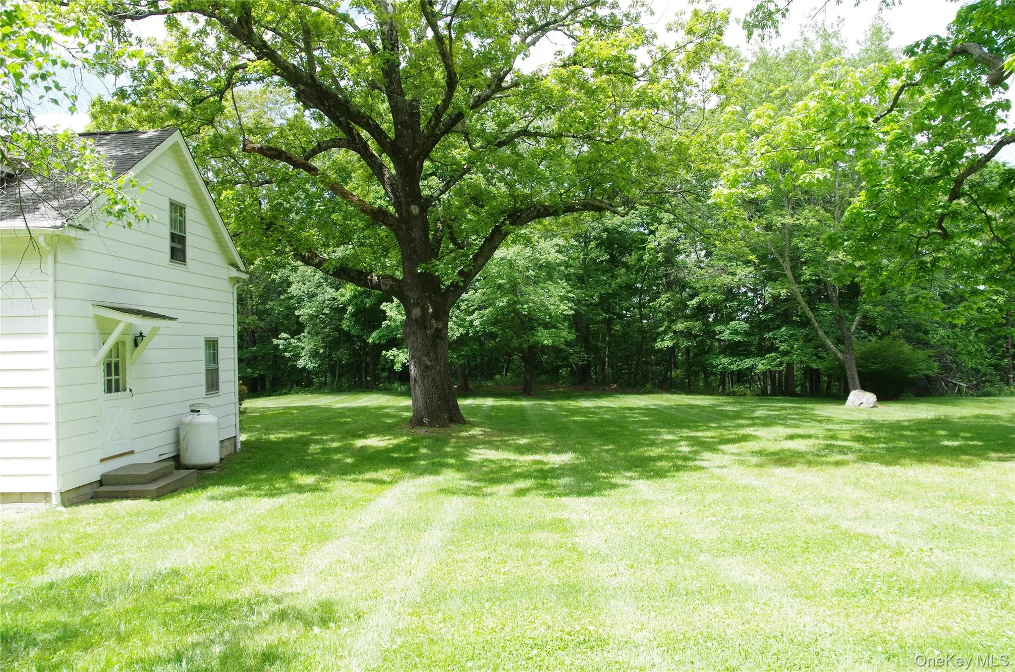 Side yard Side yard
