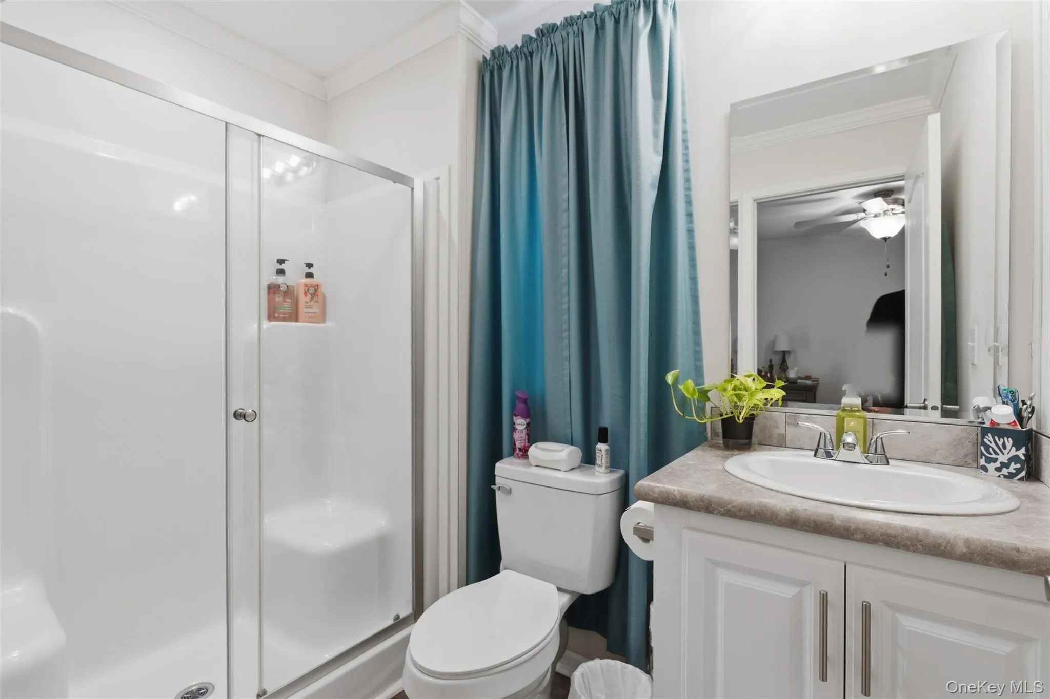 621 Sheafe, Poughkeepsie (town), NY, 3 Bedrooms Bedrooms, 5 Rooms Rooms,2 BathroomsBathrooms,Residential,For Rent,Sheafe,0,1007469 621 Sheafe, Poughkeepsie (town), NY, 3 Bedrooms Bedrooms, 5 Rooms Rooms,2 BathroomsBathrooms,Residential,For Rent,Sheafe,0,1007469