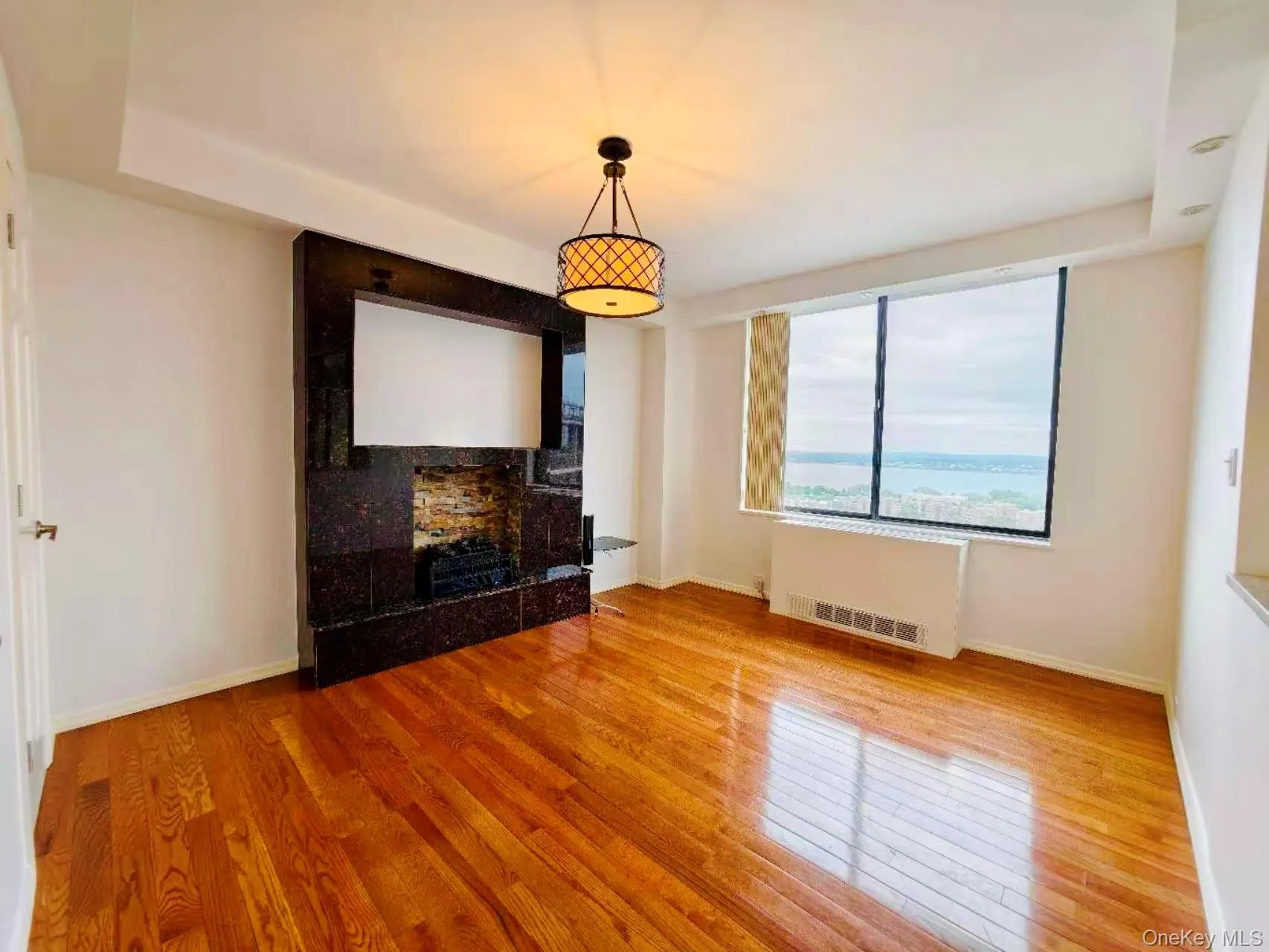 Empty room featuring wood finished floors, radiator, and a multi sided fireplace Empty room featuring wood finished floors, radiator, and a multi sided fireplace