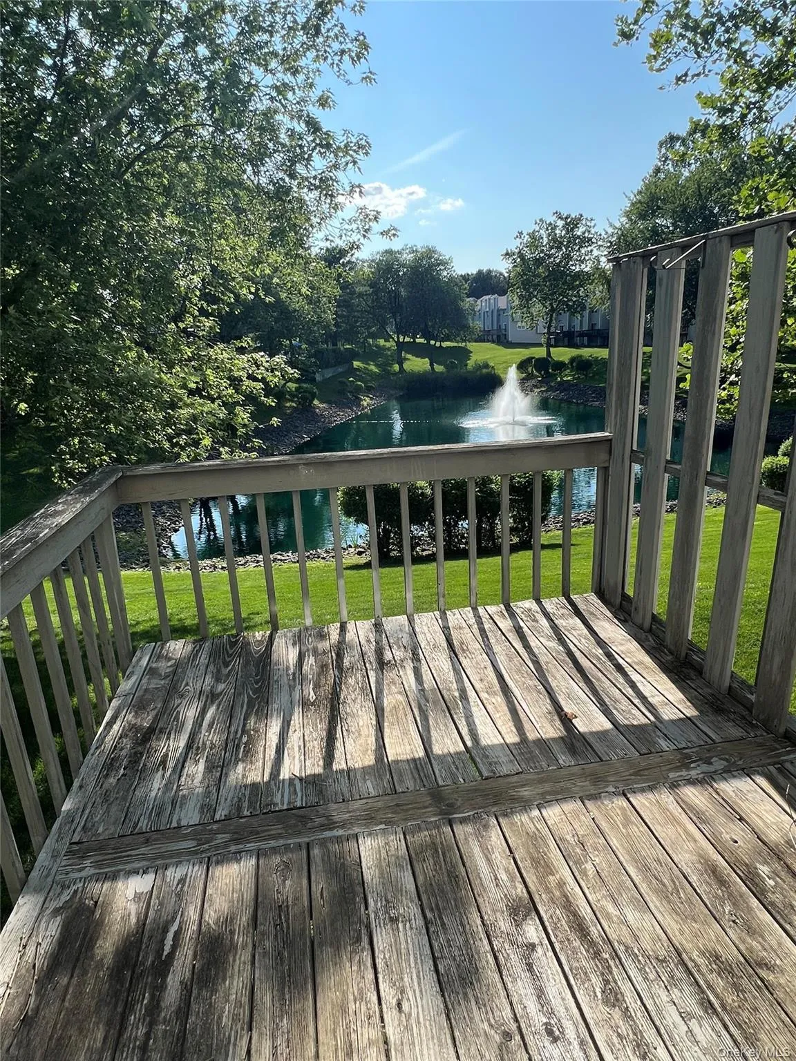Back Deck Back Deck