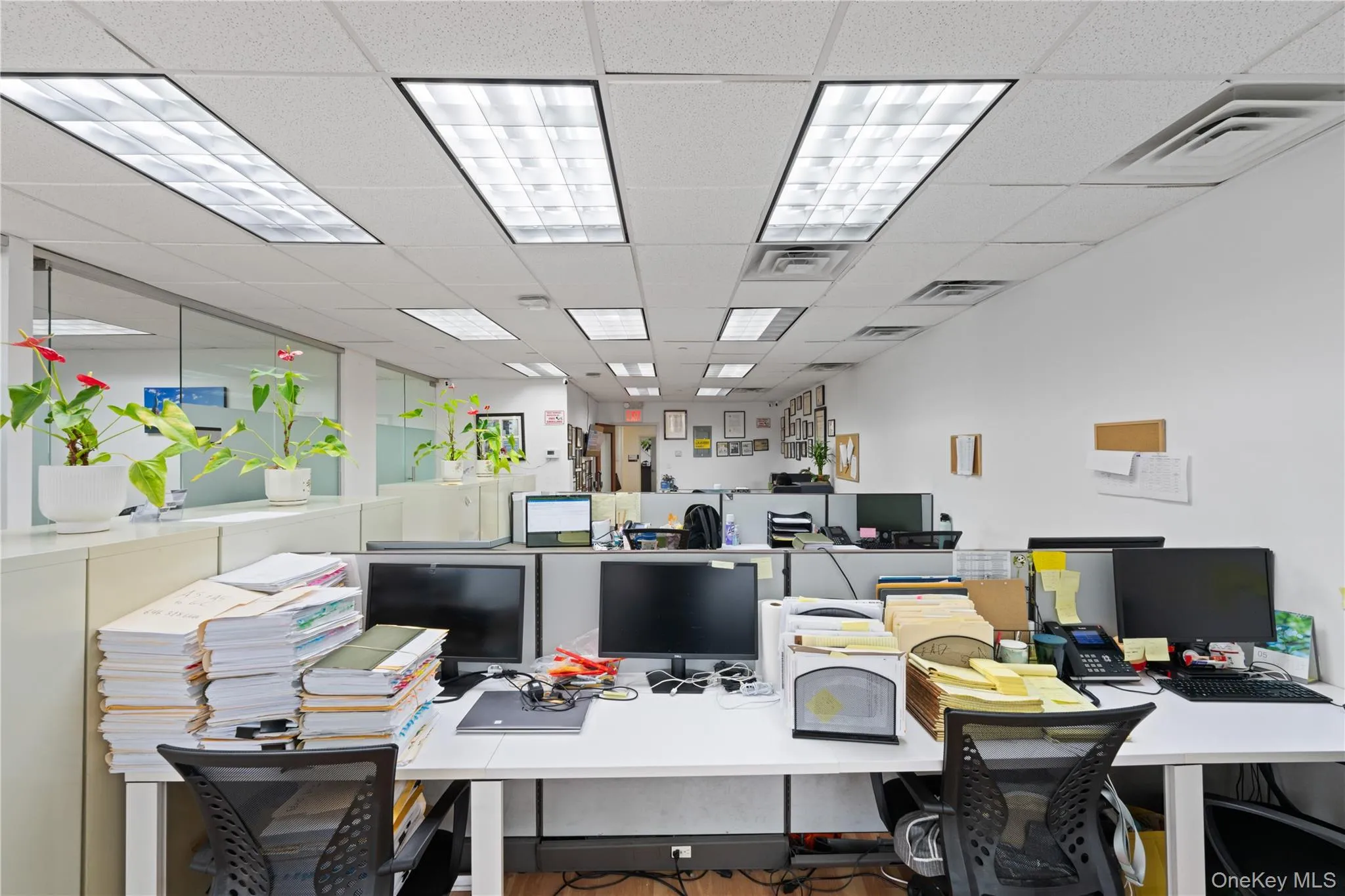 136-33 37th Avenue, New York, NY, ,Commercial Lease,For Rent,37th,0,1007536 136-33 37th Avenue, New York, NY, ,Commercial Lease,For Rent,37th,0,1007536