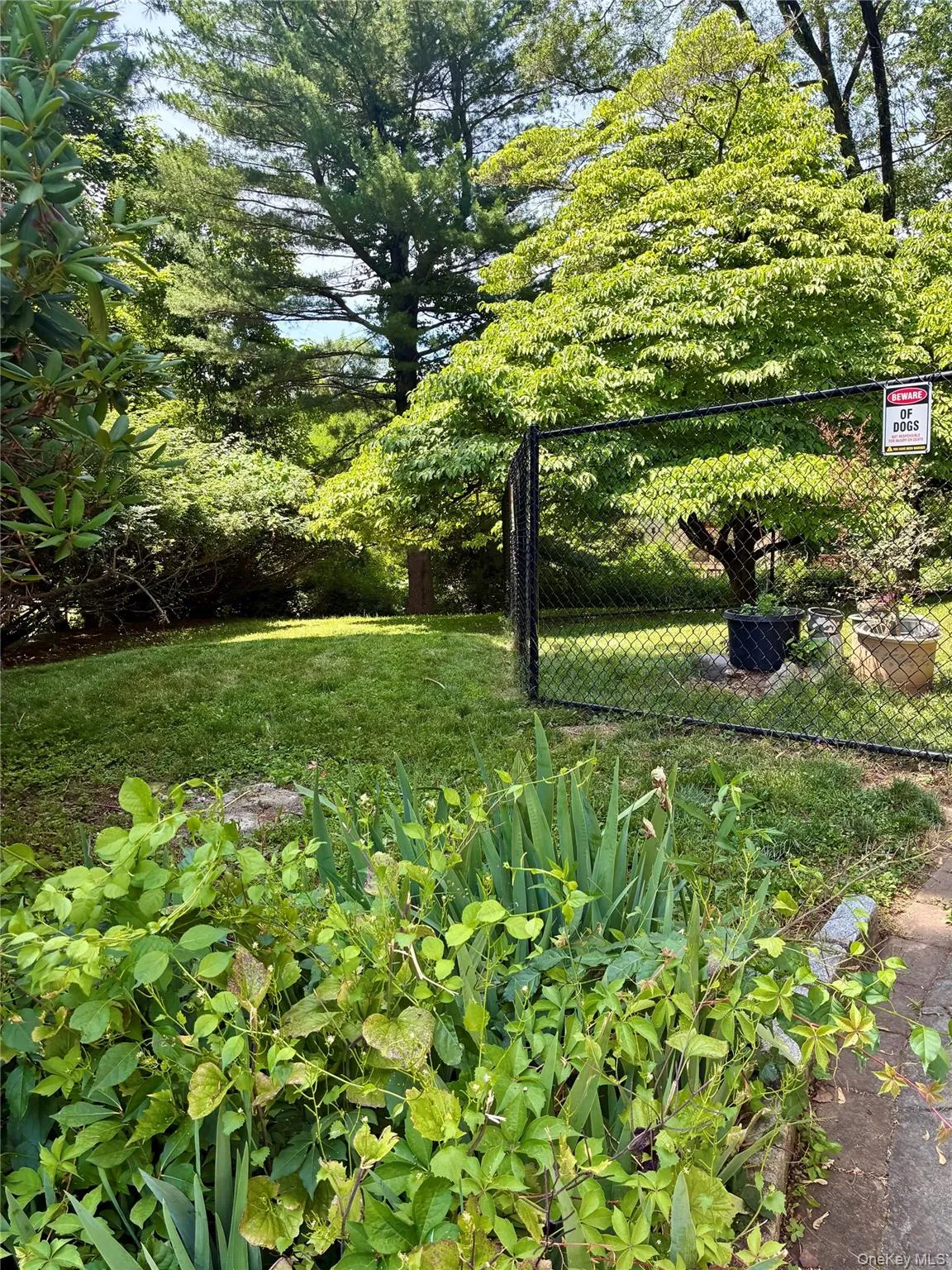 24 Ann Boulevard, Ramapo, NY, 4 Bedrooms Bedrooms, 11 Rooms Rooms,2 BathroomsBathrooms,Residential,For Rent,Ann,0,1007563 24 Ann Boulevard, Ramapo, NY, 4 Bedrooms Bedrooms, 11 Rooms Rooms,2 BathroomsBathrooms,Residential,For Rent,Ann,0,1007563