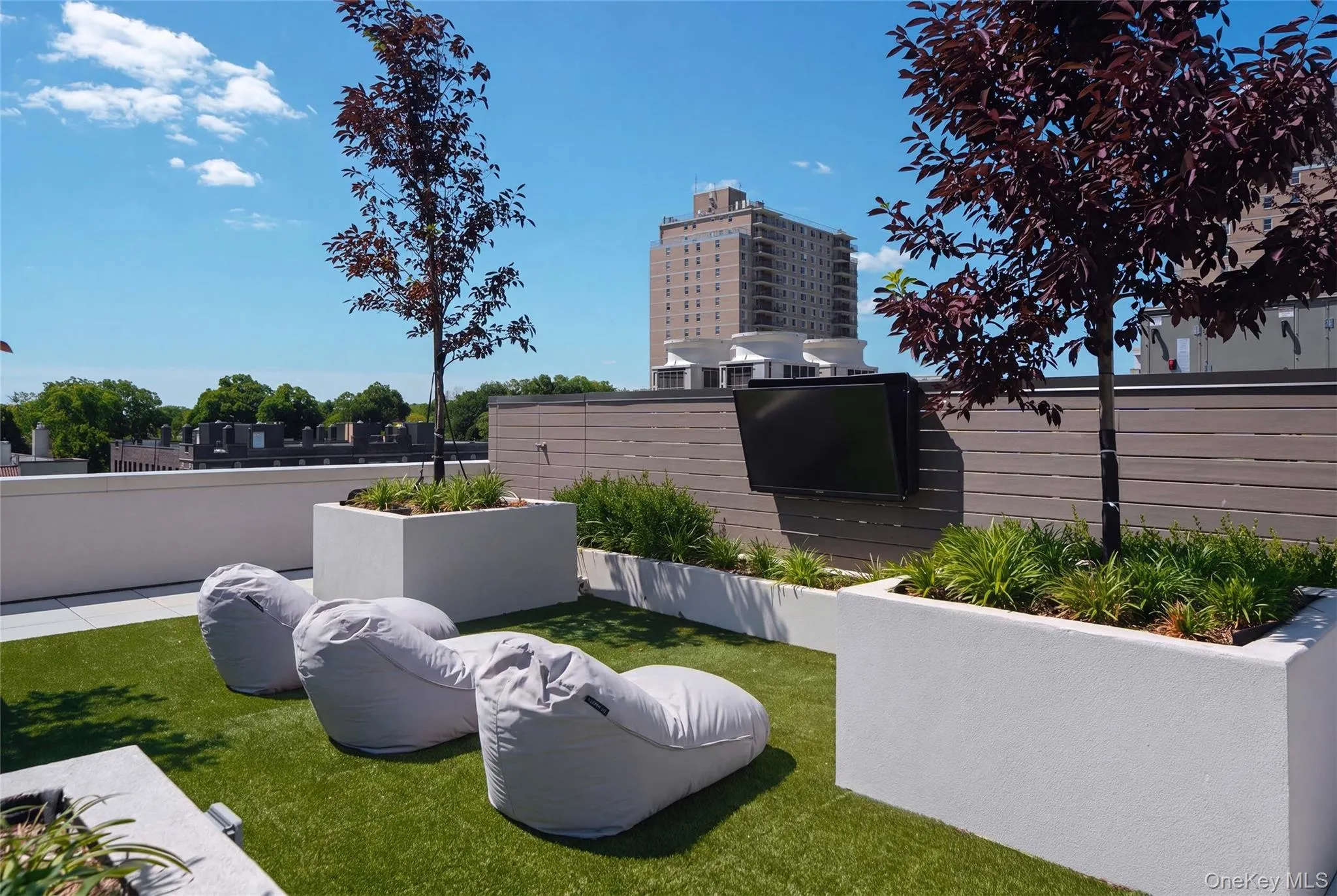 78-29 Austin Street, New York, NY, 3 Bedrooms Bedrooms, 6 Rooms Rooms,3 BathroomsBathrooms,Residential,For Rent,Austin,0,1007586 78-29 Austin Street, New York, NY, 3 Bedrooms Bedrooms, 6 Rooms Rooms,3 BathroomsBathrooms,Residential,For Rent,Austin,0,1007586