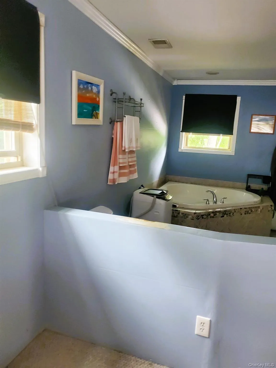 Primary Bathroom with soaker tub. Open concept. Primary Bathroom with soaker tub. Open concept.