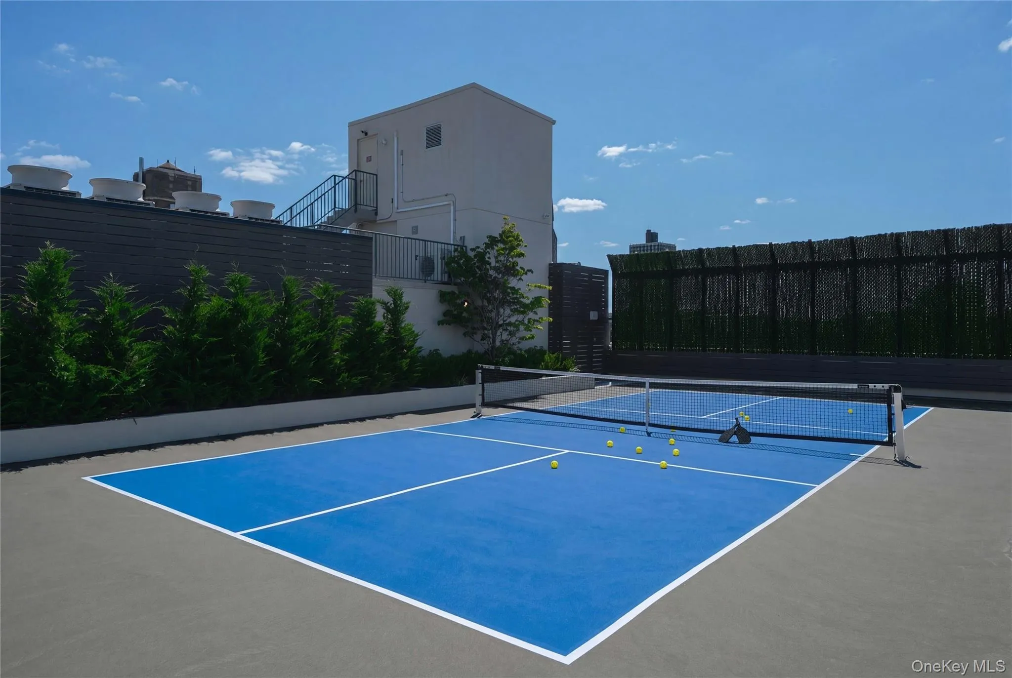 78-29 Austin Street, New York, NY, 3 Bedrooms Bedrooms, 6 Rooms Rooms,2 BathroomsBathrooms,Residential,For Rent,Austin,0,1007593 78-29 Austin Street, New York, NY, 3 Bedrooms Bedrooms, 6 Rooms Rooms,2 BathroomsBathrooms,Residential,For Rent,Austin,0,1007593