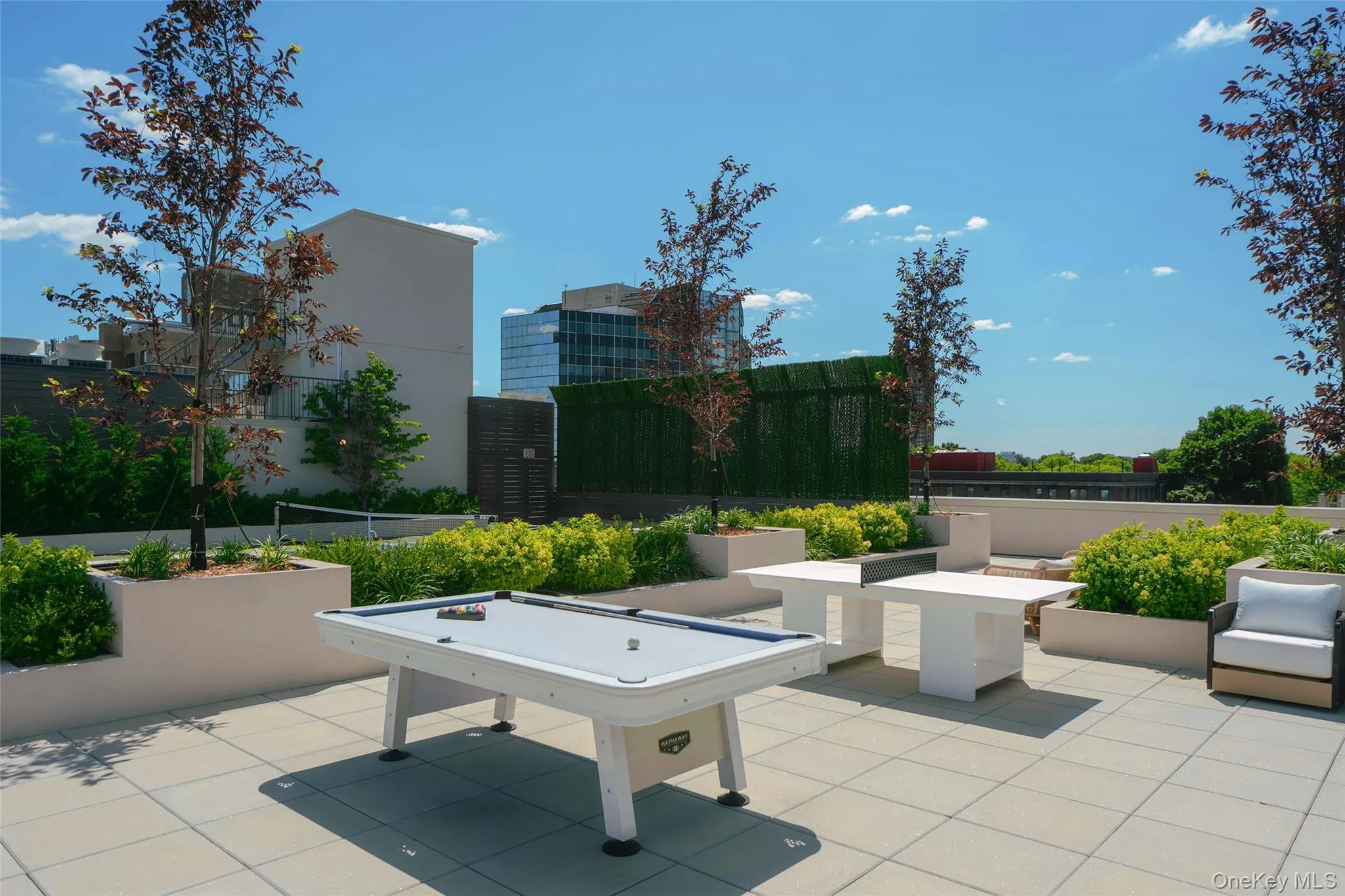 78-29 Austin Street, New York, NY, 3 Bedrooms Bedrooms, 6 Rooms Rooms,2 BathroomsBathrooms,Residential,For Rent,Austin,0,1007593 78-29 Austin Street, New York, NY, 3 Bedrooms Bedrooms, 6 Rooms Rooms,2 BathroomsBathrooms,Residential,For Rent,Austin,0,1007593