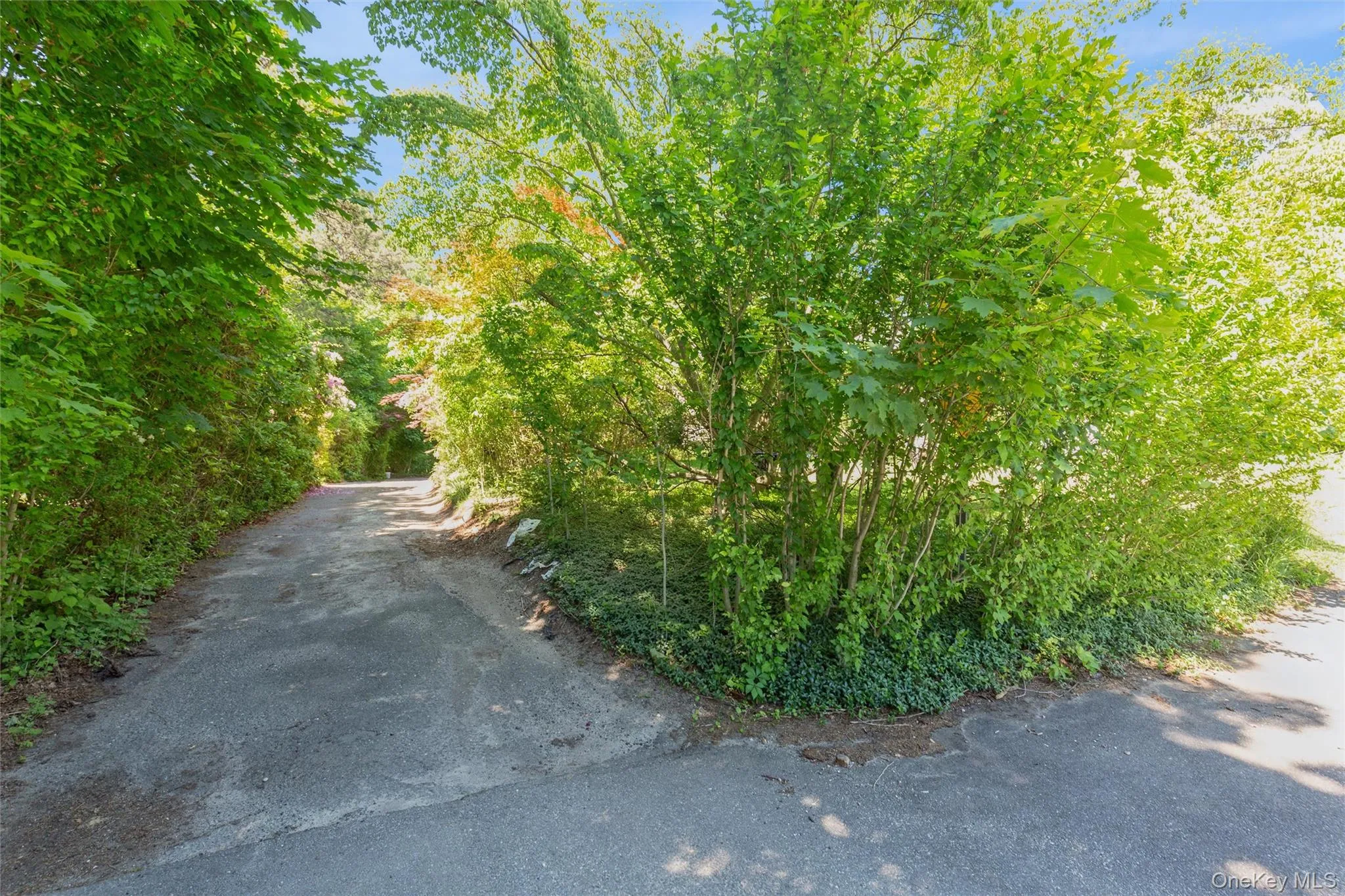 5 Olive Street, Brookhaven, NY, 2 Bedrooms Bedrooms, 5 Rooms Rooms,1 BathroomBathrooms,Residential,For Rent,Olive,0,1007598 5 Olive Street, Brookhaven, NY, 2 Bedrooms Bedrooms, 5 Rooms Rooms,1 BathroomBathrooms,Residential,For Rent,Olive,0,1007598