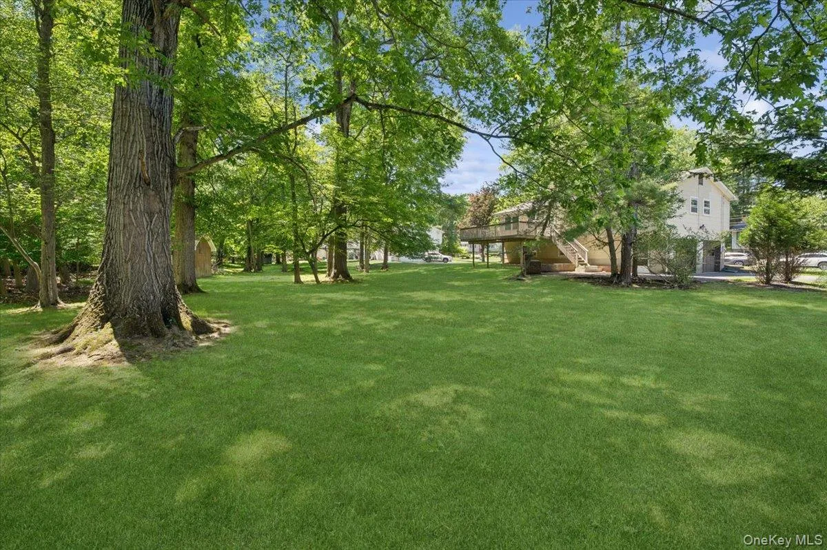 Beautiful peaceful backyard with mature trees. Beautiful peaceful backyard with mature trees.