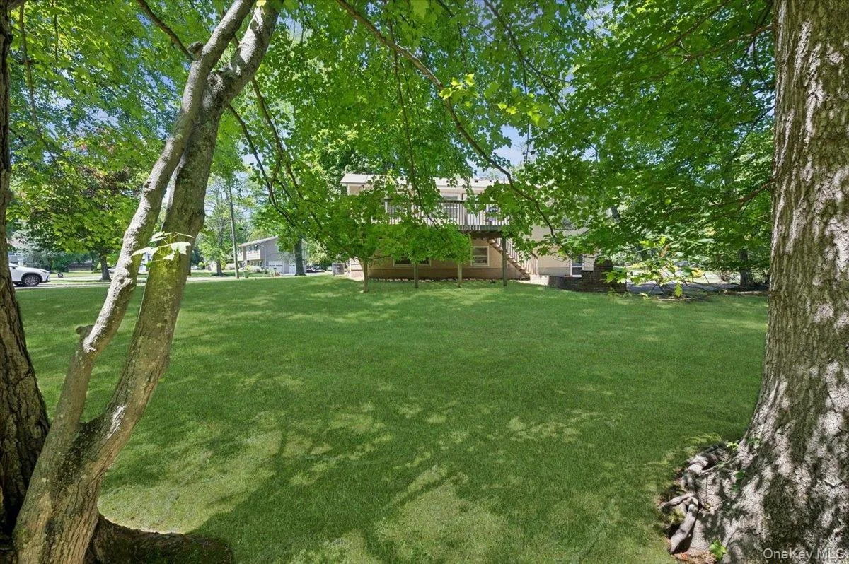Peaceful backyard. Peaceful backyard.