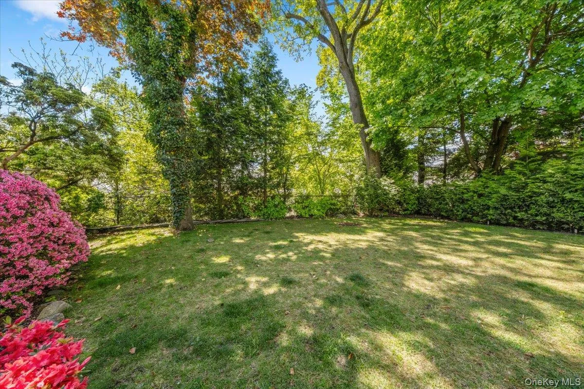 65 Wildwood Road, New Rochelle, NY, 5 Bedrooms Bedrooms, 8 Rooms Rooms,3 BathroomsBathrooms,Residential,For Rent,Wildwood,0,1007621 65 Wildwood Road, New Rochelle, NY, 5 Bedrooms Bedrooms, 8 Rooms Rooms,3 BathroomsBathrooms,Residential,For Rent,Wildwood,0,1007621