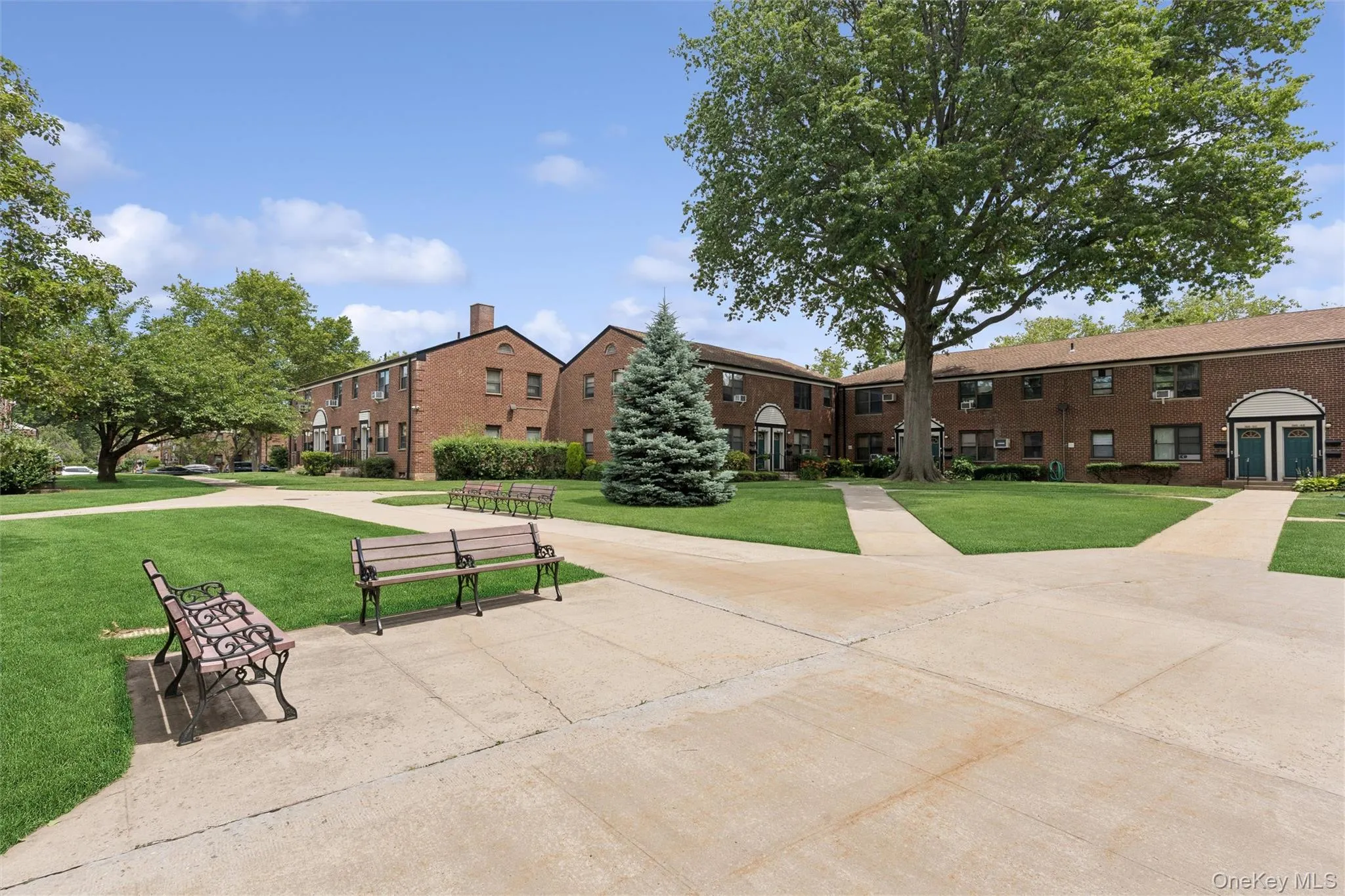 Expansive green space featuring mature trees and concrete pathways Expansive green space featuring mature trees and concrete pathways
