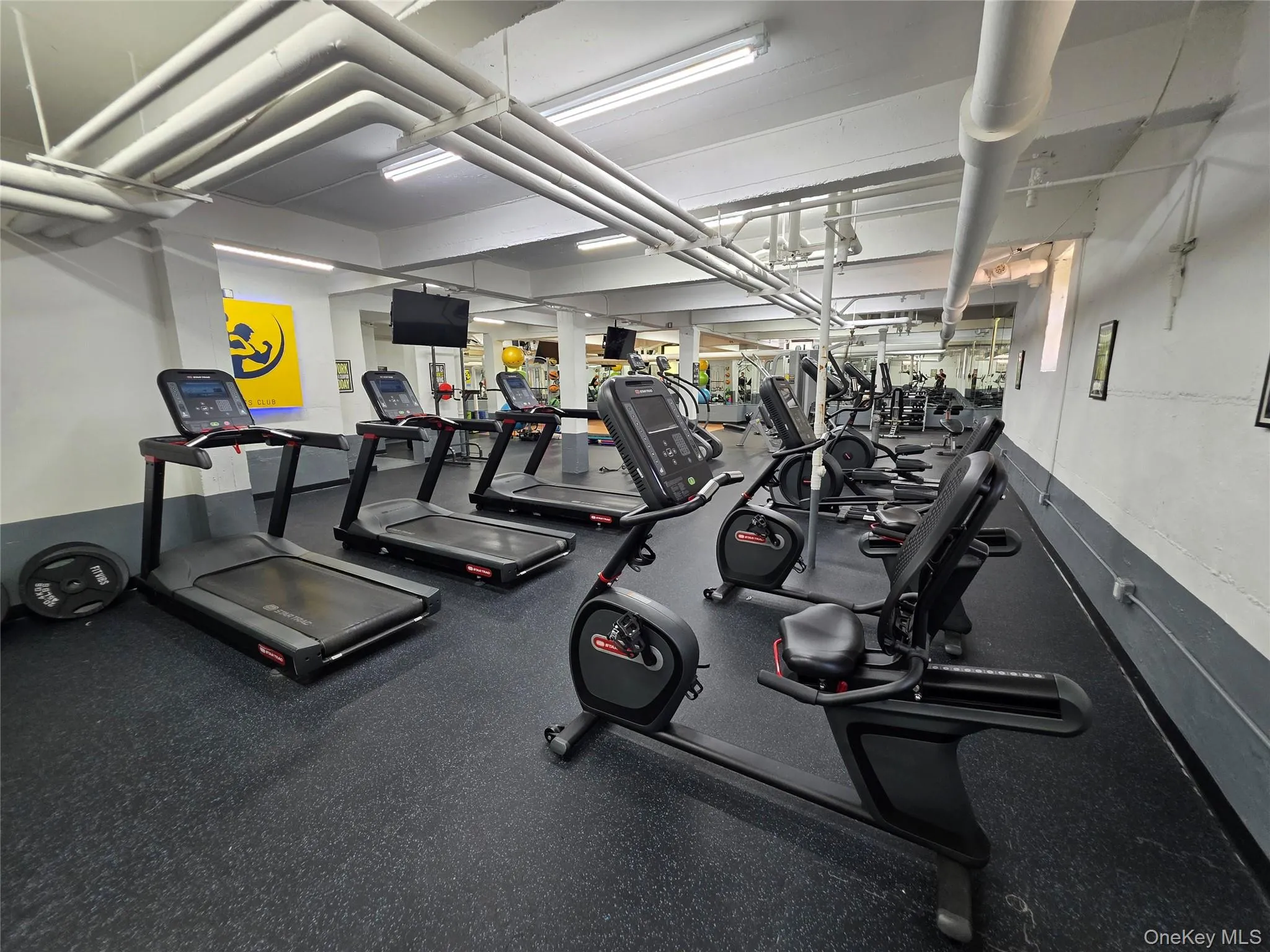 33-25 90th Street, New York, NY, 2 Bedrooms Bedrooms, 4 Rooms Rooms,1 BathroomBathrooms,Residential,For Rent,90th,0,1007637 33-25 90th Street, New York, NY, 2 Bedrooms Bedrooms, 4 Rooms Rooms,1 BathroomBathrooms,Residential,For Rent,90th,0,1007637
