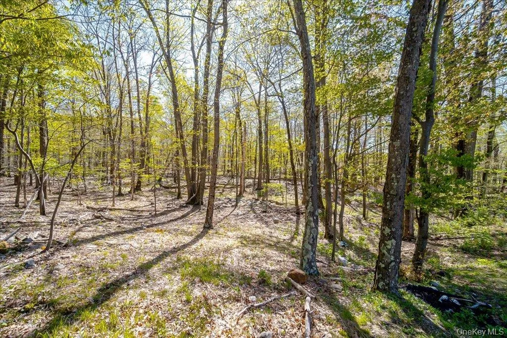 80 Jones Road, Shawangunk, NY, 4 Bedrooms Bedrooms, 15 Rooms Rooms,3 BathroomsBathrooms,Residential,For Rent,Jones,0,1007640 80 Jones Road, Shawangunk, NY, 4 Bedrooms Bedrooms, 15 Rooms Rooms,3 BathroomsBathrooms,Residential,For Rent,Jones,0,1007640
