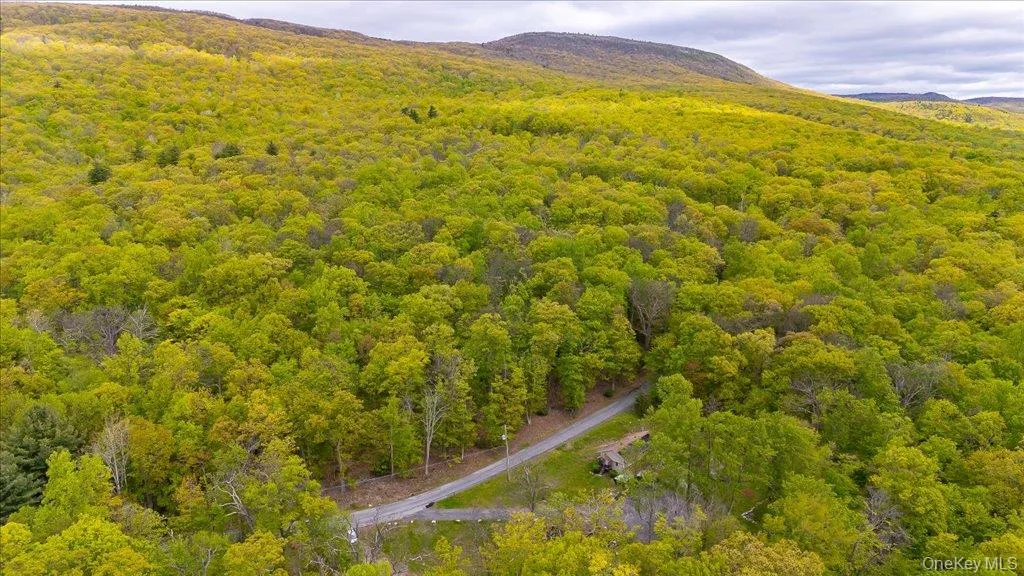 80 Jones Road, Shawangunk, NY, 4 Bedrooms Bedrooms, 15 Rooms Rooms,3 BathroomsBathrooms,Residential,For Rent,Jones,0,1007640 80 Jones Road, Shawangunk, NY, 4 Bedrooms Bedrooms, 15 Rooms Rooms,3 BathroomsBathrooms,Residential,For Rent,Jones,0,1007640