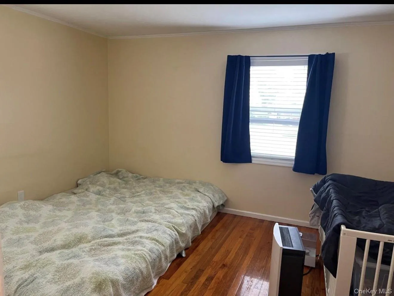 30 Audrey Avenue, Oyster Bay, NY, 4 Bedrooms Bedrooms, 10 Rooms Rooms,2 BathroomsBathrooms,Residential Lease,For Rent,Audrey,0,1007693 30 Audrey Avenue, Oyster Bay, NY, 4 Bedrooms Bedrooms, 10 Rooms Rooms,2 BathroomsBathrooms,Residential Lease,For Rent,Audrey,0,1007693