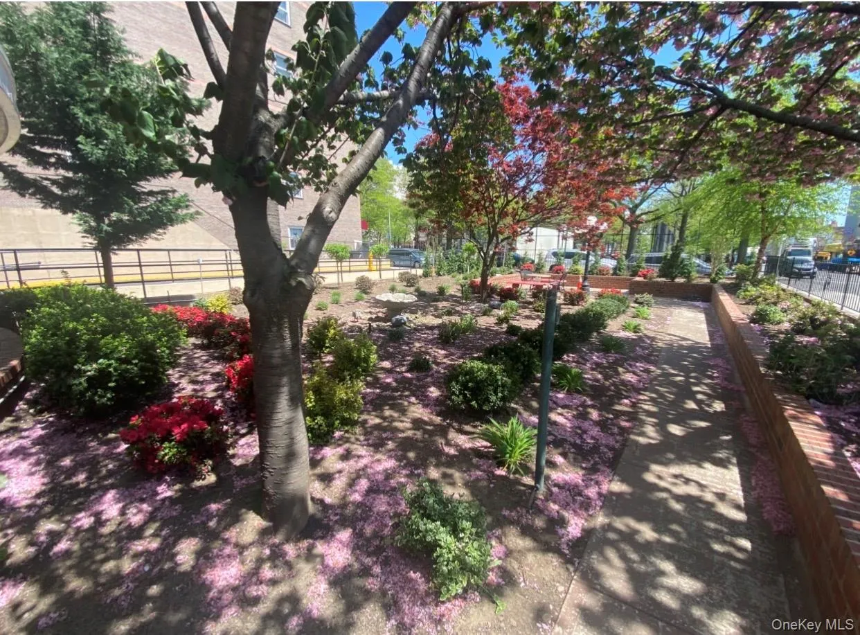 8111 45th Avenue, New York, NY, 1 Bedroom Bedrooms, 3 Rooms Rooms,1 BathroomBathrooms,Residential,For Rent,45th,0,1007778 8111 45th Avenue, New York, NY, 1 Bedroom Bedrooms, 3 Rooms Rooms,1 BathroomBathrooms,Residential,For Rent,45th,0,1007778