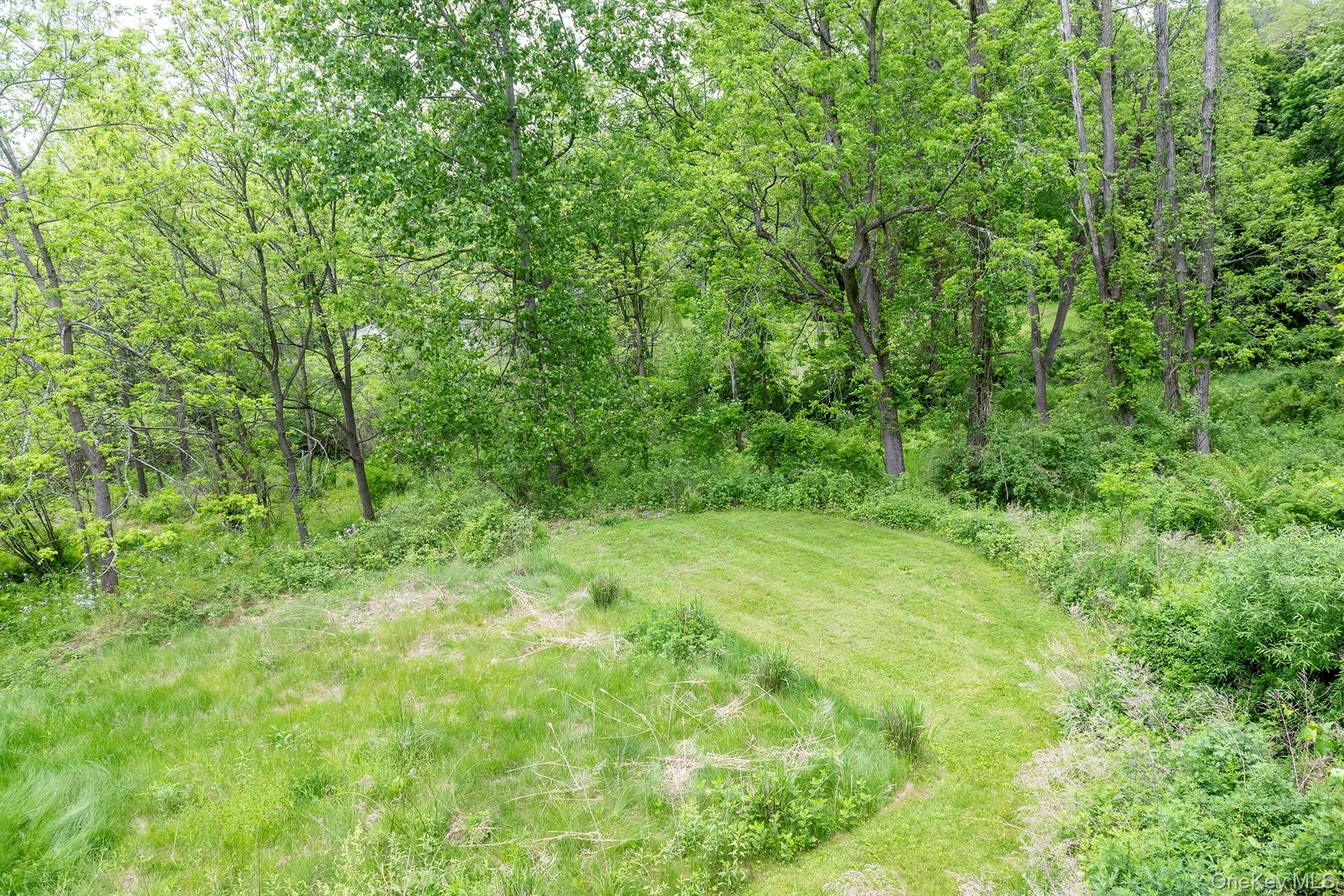 580 Oak Summit Road, Washington, NY, 3 Bedrooms Bedrooms, 7 Rooms Rooms,2 BathroomsBathrooms,Residential,For Rent,Oak Summit,0,1007796 580 Oak Summit Road, Washington, NY, 3 Bedrooms Bedrooms, 7 Rooms Rooms,2 BathroomsBathrooms,Residential,For Rent,Oak Summit,0,1007796