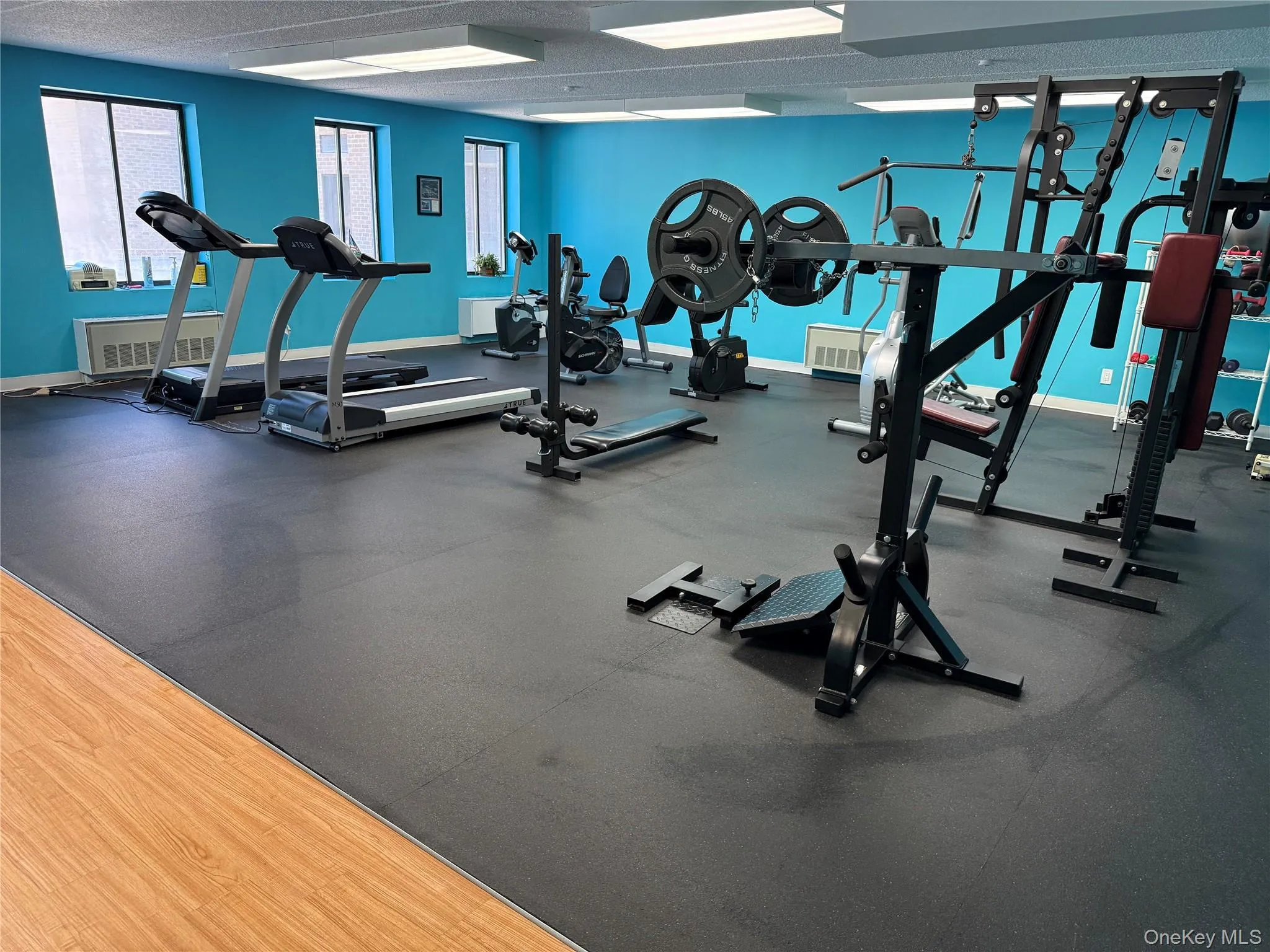 175 Maple Avenue, North Hempstead, NY, 1 Bedroom Bedrooms, 4 Rooms Rooms,1 BathroomBathrooms,Residential Lease,For Rent,Maple,0,1007801 175 Maple Avenue, North Hempstead, NY, 1 Bedroom Bedrooms, 4 Rooms Rooms,1 BathroomBathrooms,Residential Lease,For Rent,Maple,0,1007801