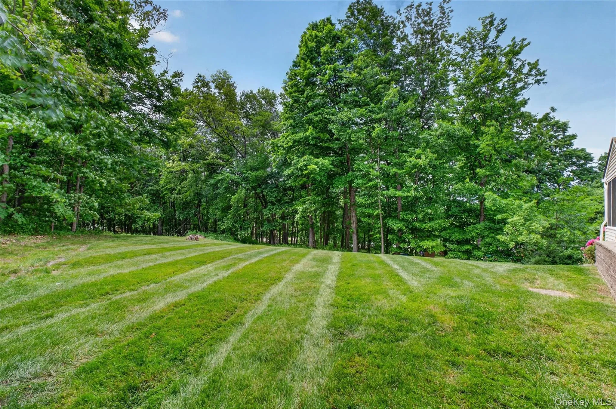 7 Pellbridge Drive, East Fishkill, NY, 4 Bedrooms Bedrooms, 8 Rooms Rooms,2 BathroomsBathrooms,Residential,For Rent,Pellbridge,0,1007808 7 Pellbridge Drive, East Fishkill, NY, 4 Bedrooms Bedrooms, 8 Rooms Rooms,2 BathroomsBathrooms,Residential,For Rent,Pellbridge,0,1007808