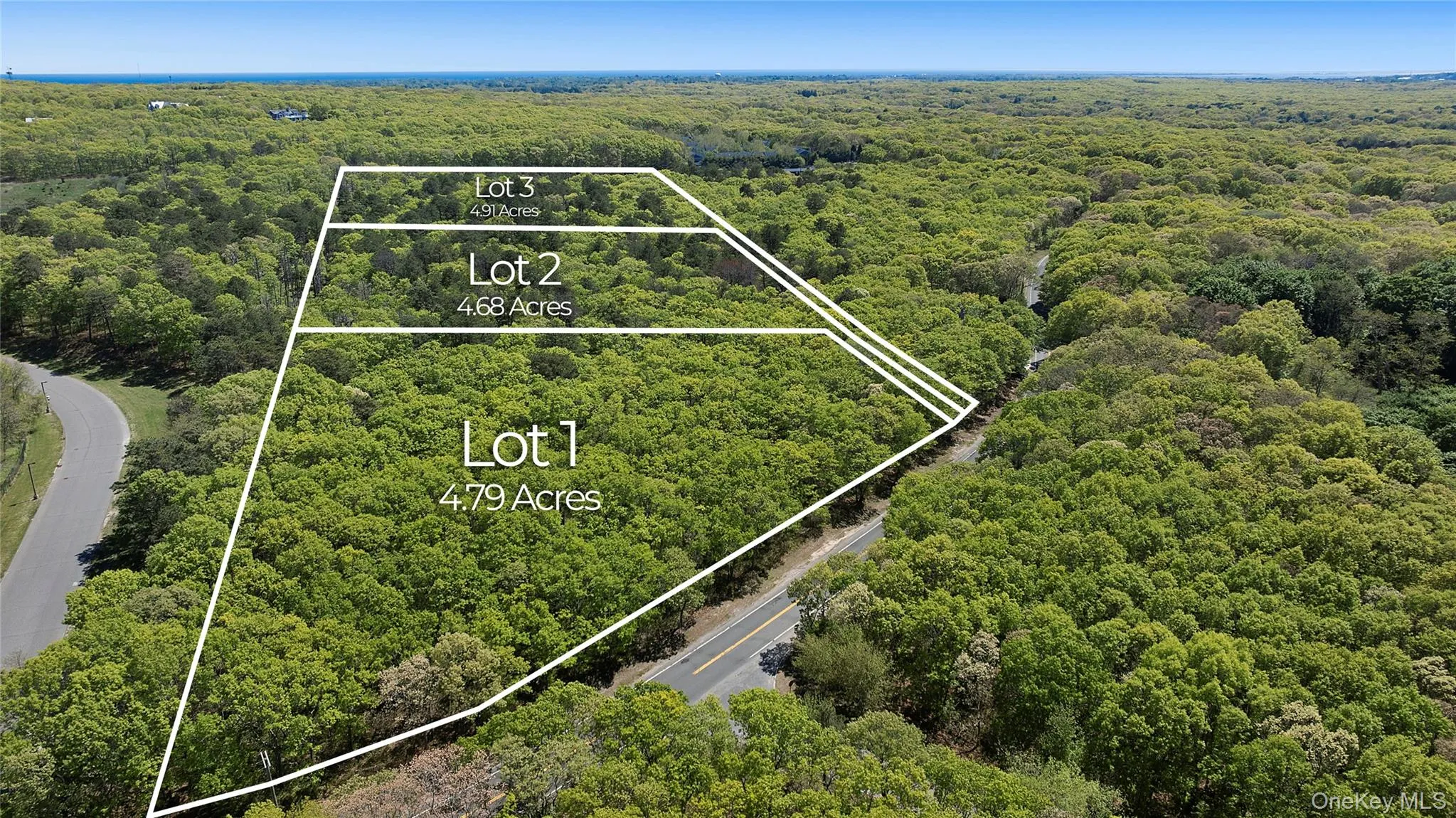 Lot map showing acre division for each lot.