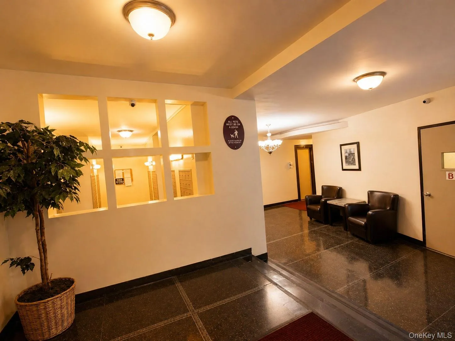 6434 102nd Street, New York, NY, 1 Bedroom Bedrooms, 3 Rooms Rooms,Residential,For Rent,102nd,0,1007829 6434 102nd Street, New York, NY, 1 Bedroom Bedrooms, 3 Rooms Rooms,Residential,For Rent,102nd,0,1007829