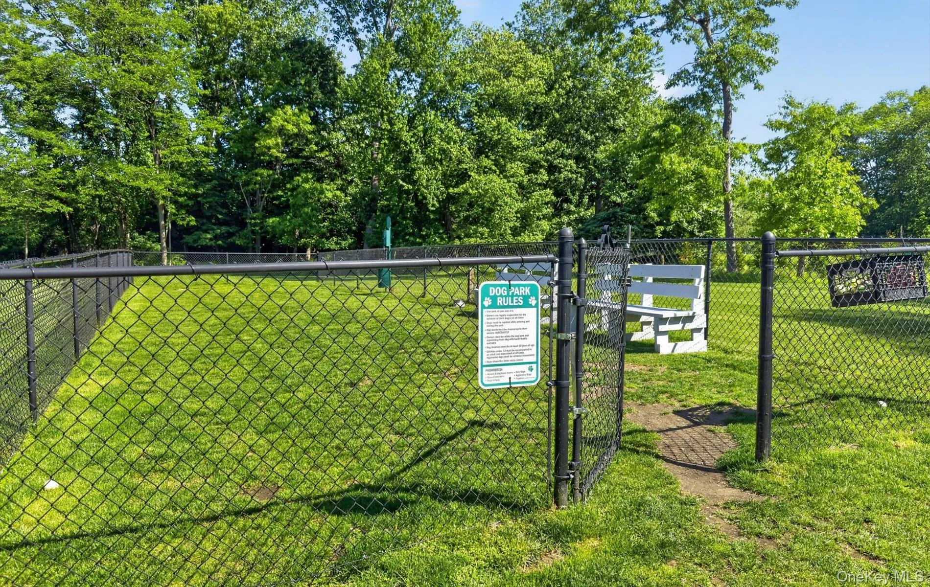 Dog Park Dog Park