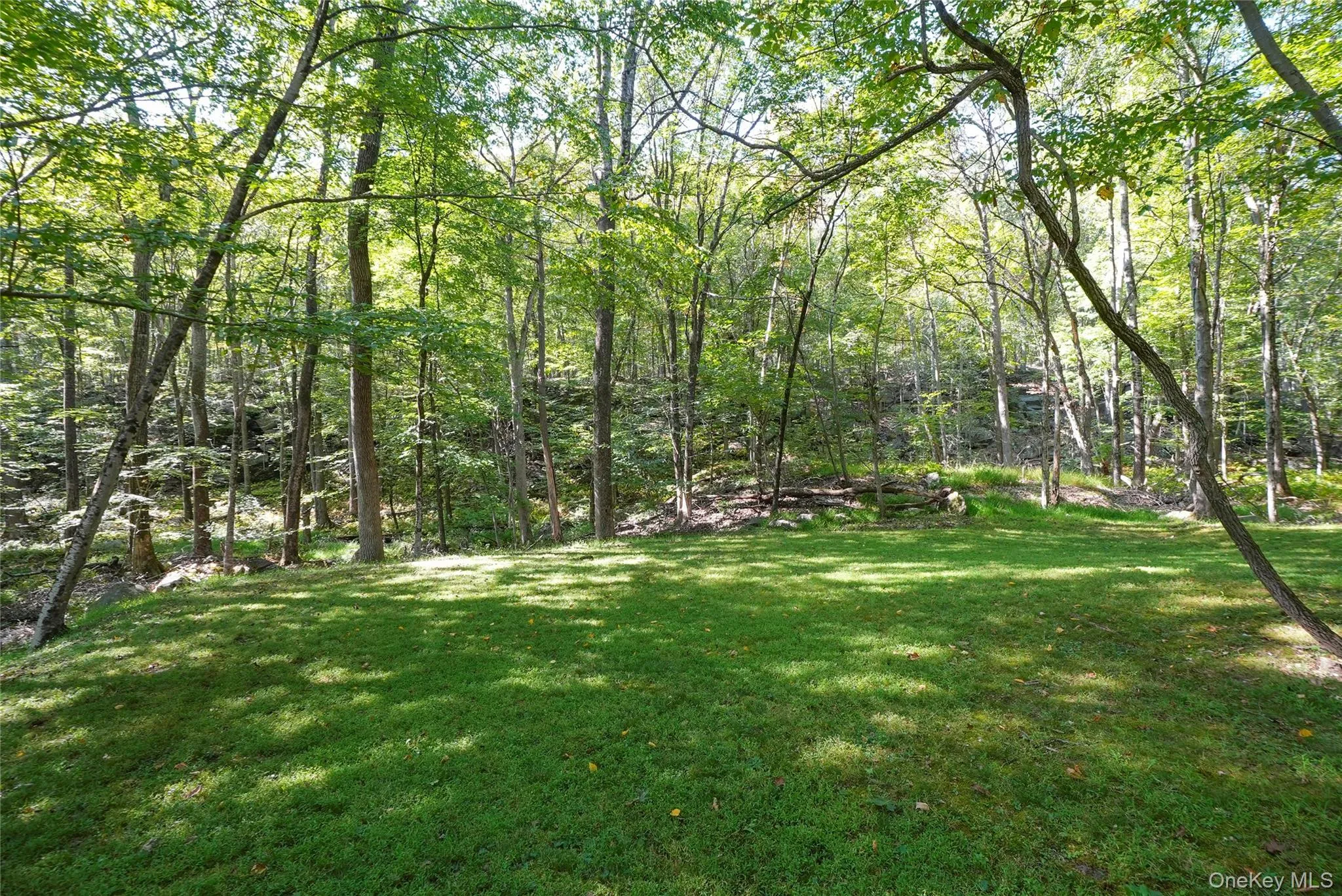Expansive grassy area surrounded by a densely wooded tree line Expansive grassy area surrounded by a densely wooded tree line
