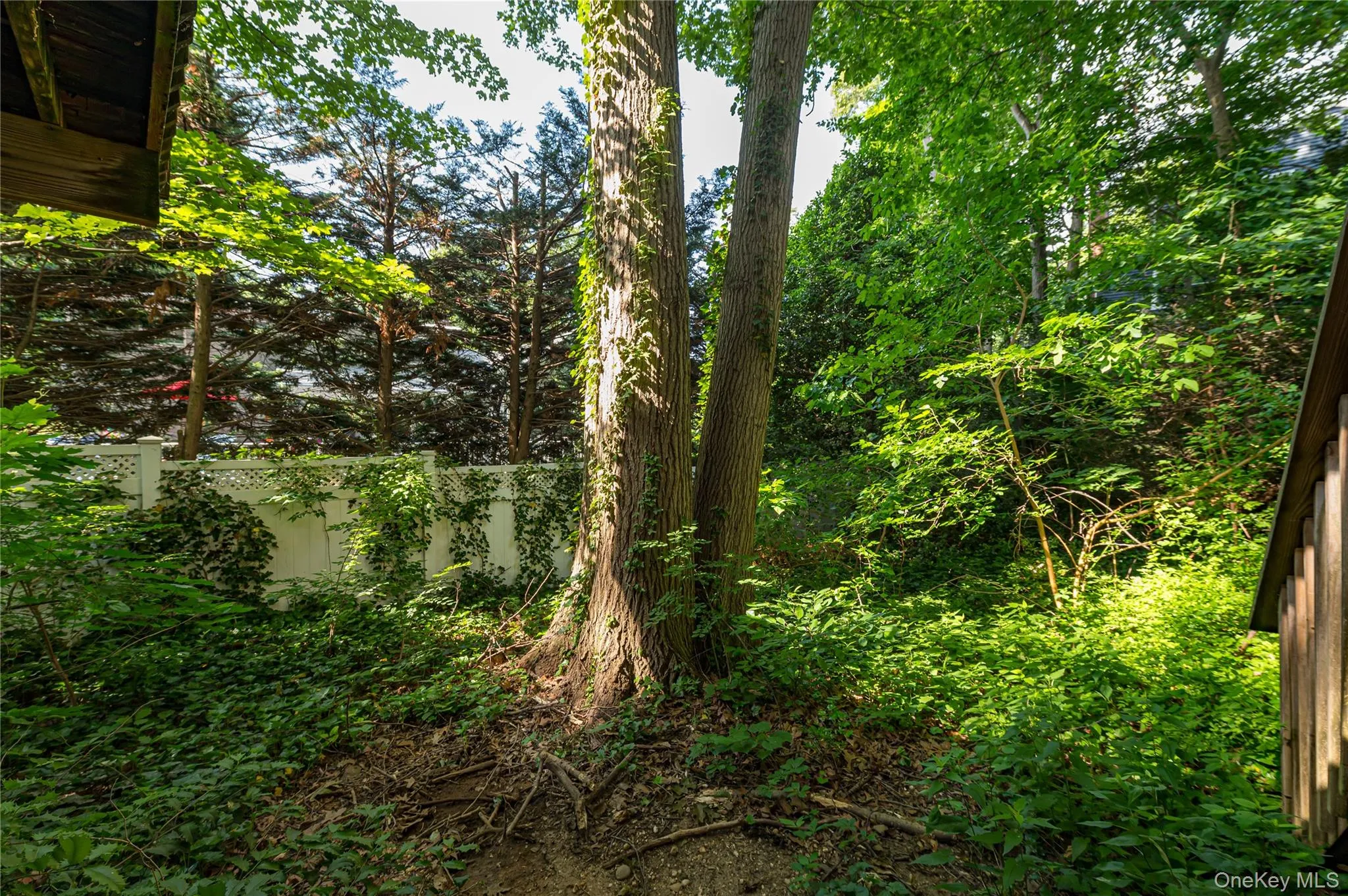 6 Glades Way, Huntington, NY, 3 Bedrooms Bedrooms, 7 Rooms Rooms,1 BathroomBathrooms,Residential,For Rent,Glades,0,1007916 6 Glades Way, Huntington, NY, 3 Bedrooms Bedrooms, 7 Rooms Rooms,1 BathroomBathrooms,Residential,For Rent,Glades,0,1007916