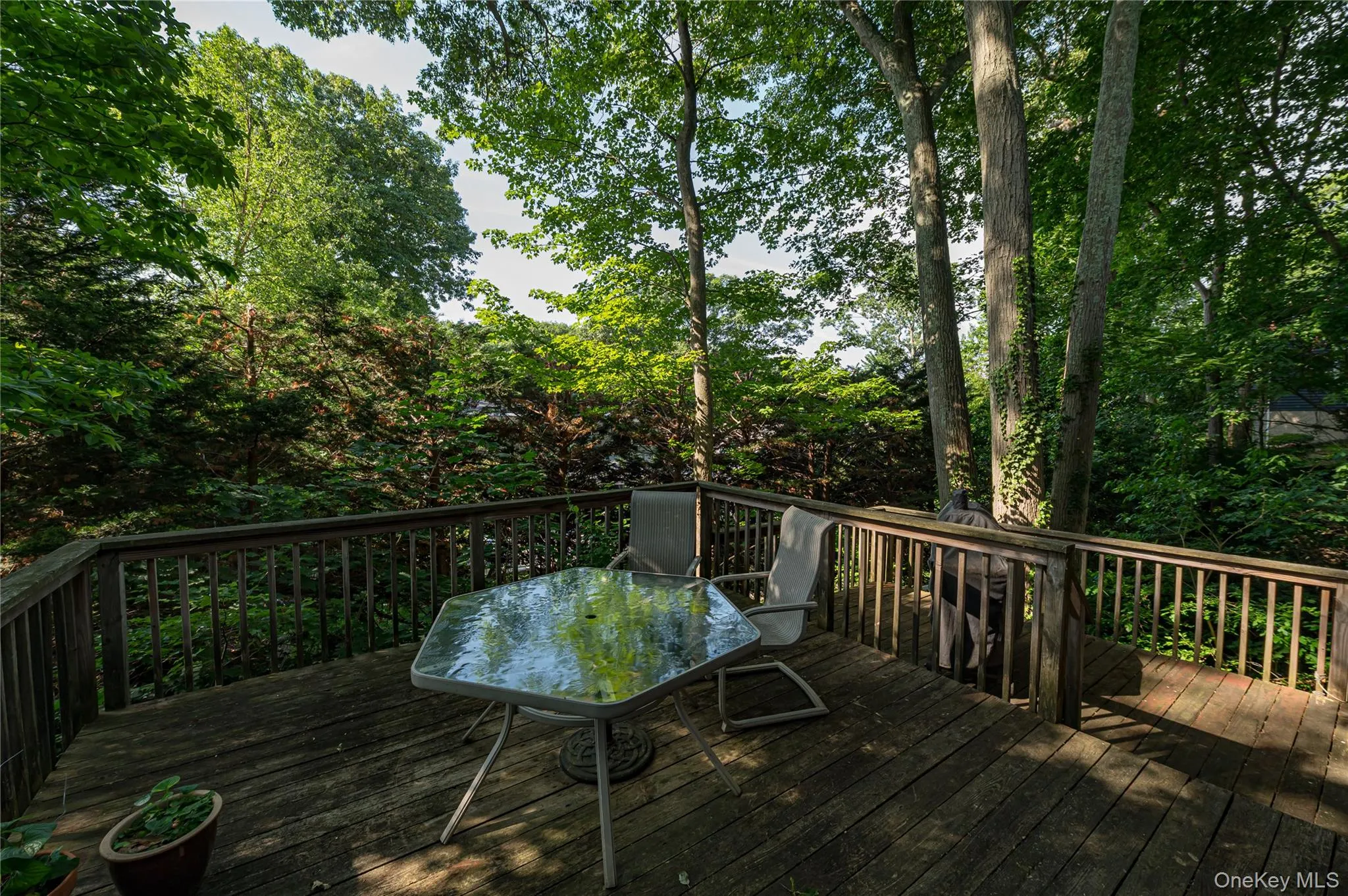 6 Glades Way, Huntington, NY, 3 Bedrooms Bedrooms, 7 Rooms Rooms,1 BathroomBathrooms,Residential,For Rent,Glades,0,1007916 6 Glades Way, Huntington, NY, 3 Bedrooms Bedrooms, 7 Rooms Rooms,1 BathroomBathrooms,Residential,For Rent,Glades,0,1007916