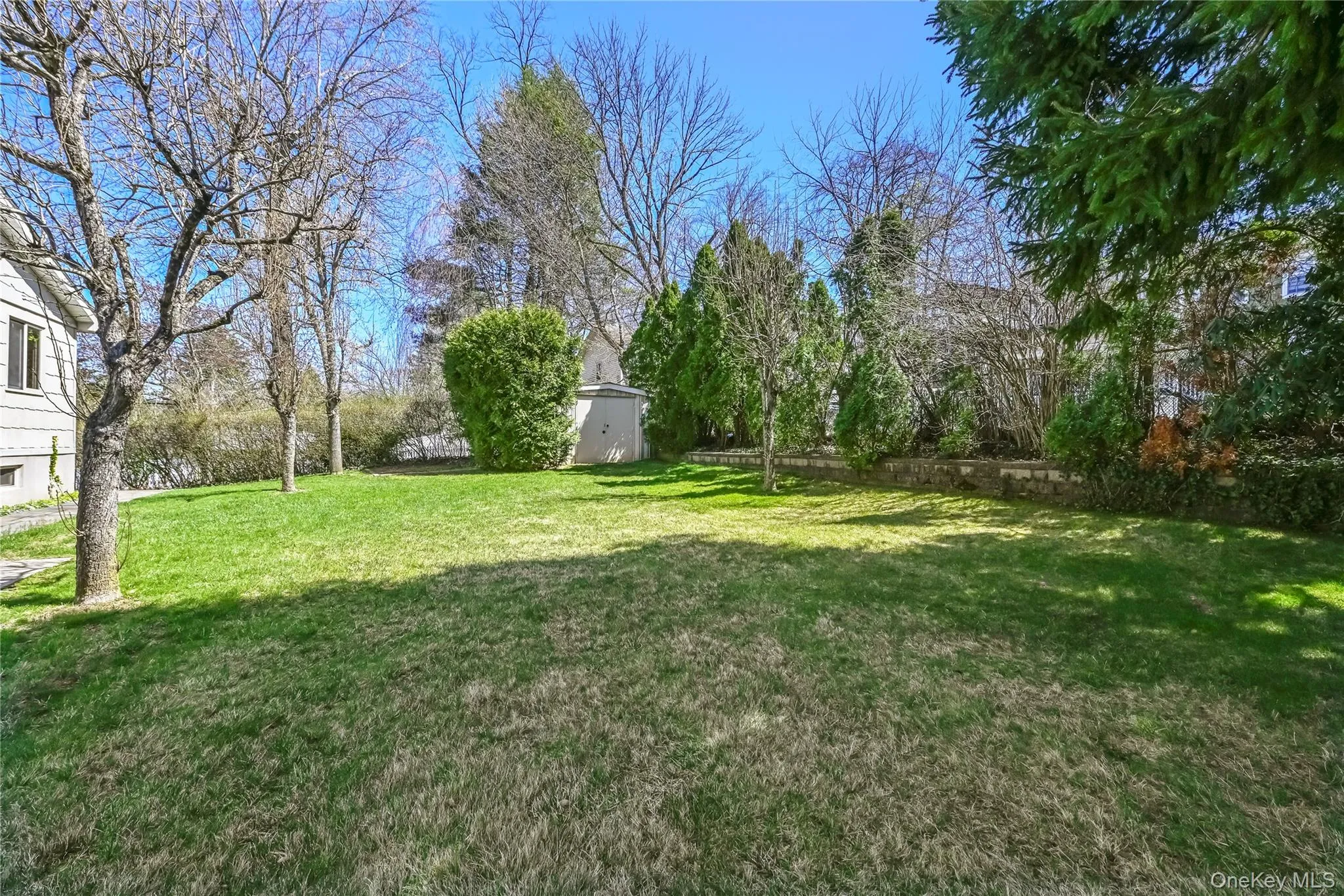 Expansive lawn area with mature trees and perimeter shrubbery Expansive lawn area with mature trees and perimeter shrubbery