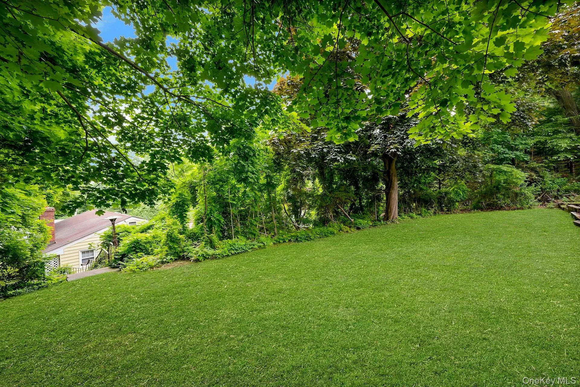 Upper level grassy area of backyard Upper level grassy area of backyard