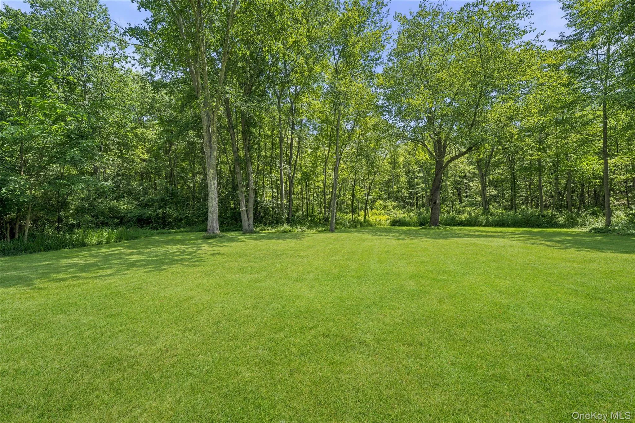 228 Mombasha Road, Monroe, NY, 4 Bedrooms Bedrooms, 8 Rooms Rooms,2 BathroomsBathrooms,Residential,For Rent,Mombasha,0,1007960 228 Mombasha Road, Monroe, NY, 4 Bedrooms Bedrooms, 8 Rooms Rooms,2 BathroomsBathrooms,Residential,For Rent,Mombasha,0,1007960