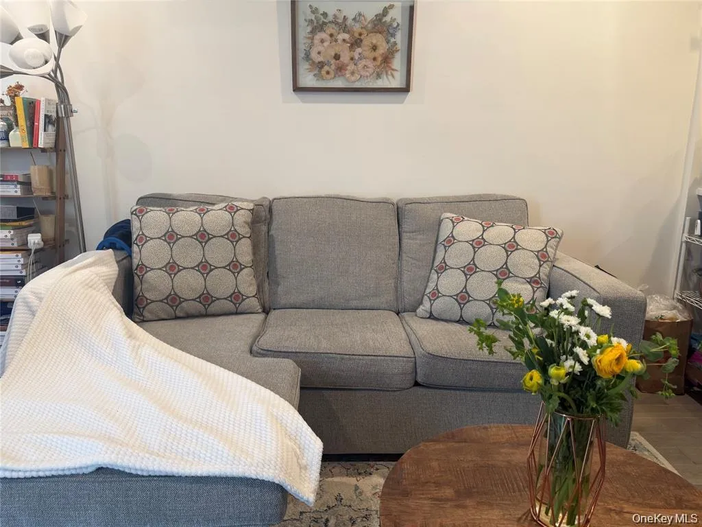 3141 29th Street, New York, NY, 1 Bedroom Bedrooms, 3 Rooms Rooms,1 BathroomBathrooms,Residential Lease,For Rent,29th,0,1008007 3141 29th Street, New York, NY, 1 Bedroom Bedrooms, 3 Rooms Rooms,1 BathroomBathrooms,Residential Lease,For Rent,29th,0,1008007
