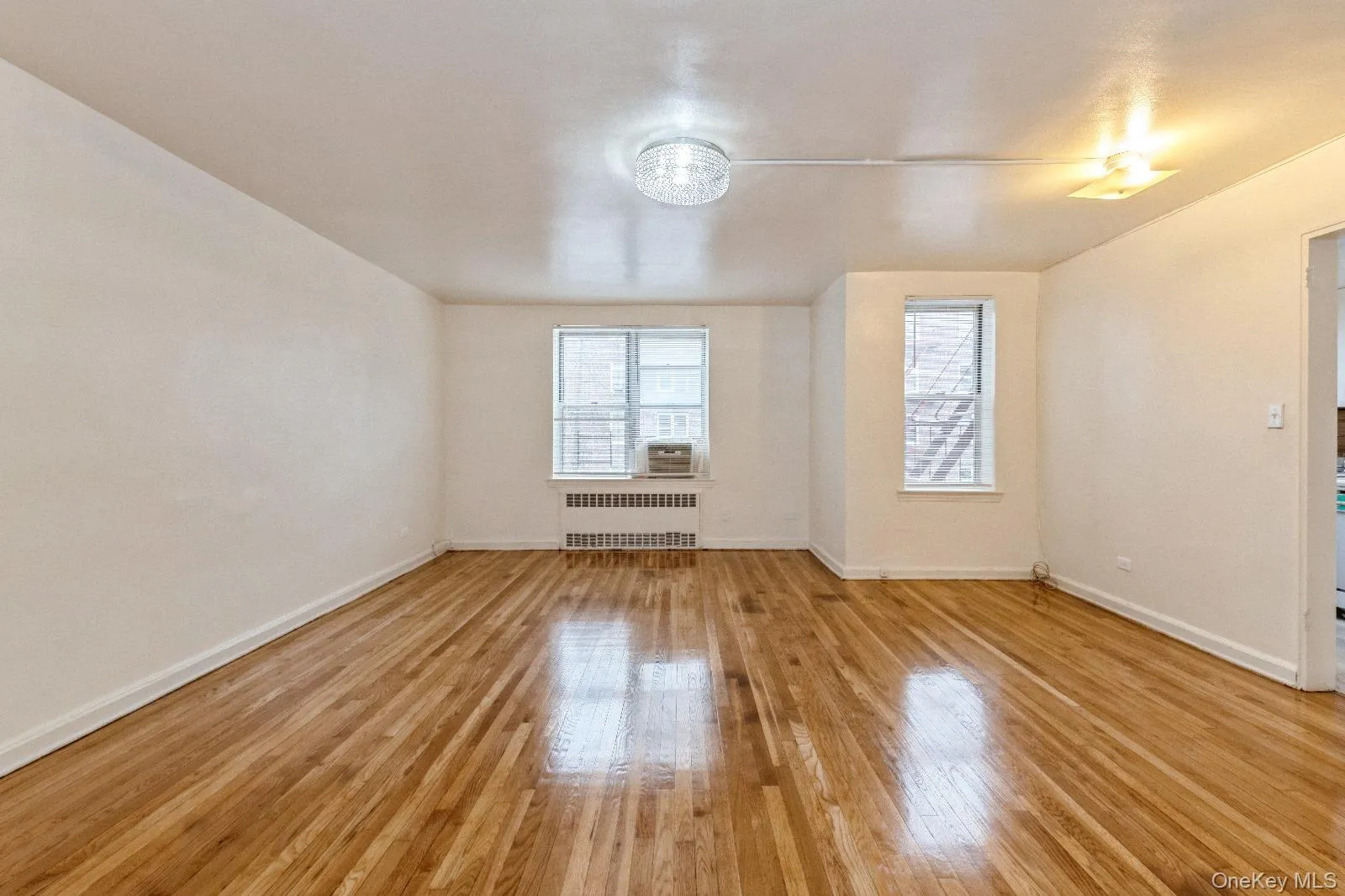 Spare room with wood-type flooring, radiator, baseboards, and a healthy amount of sunlight Spare room with wood-type flooring, radiator, baseboards, and a healthy amount of sunlight