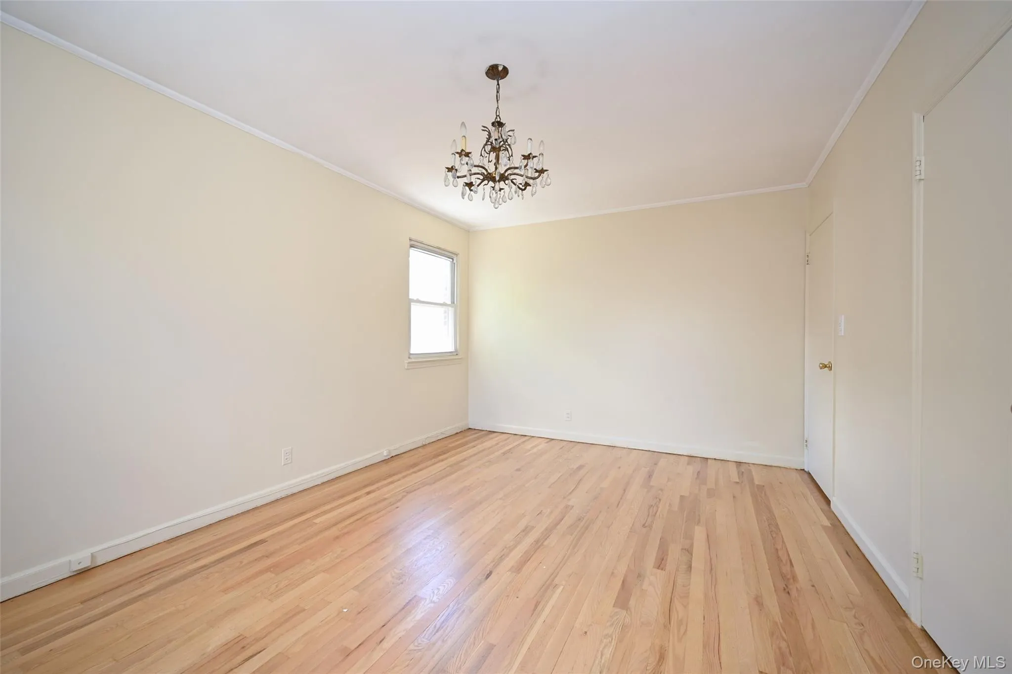 65-31 171st Street, New York, NY, 3 Bedrooms Bedrooms, 10 Rooms Rooms,2 BathroomsBathrooms,Residential,For Rent,171st,0,1008061 65-31 171st Street, New York, NY, 3 Bedrooms Bedrooms, 10 Rooms Rooms,2 BathroomsBathrooms,Residential,For Rent,171st,0,1008061