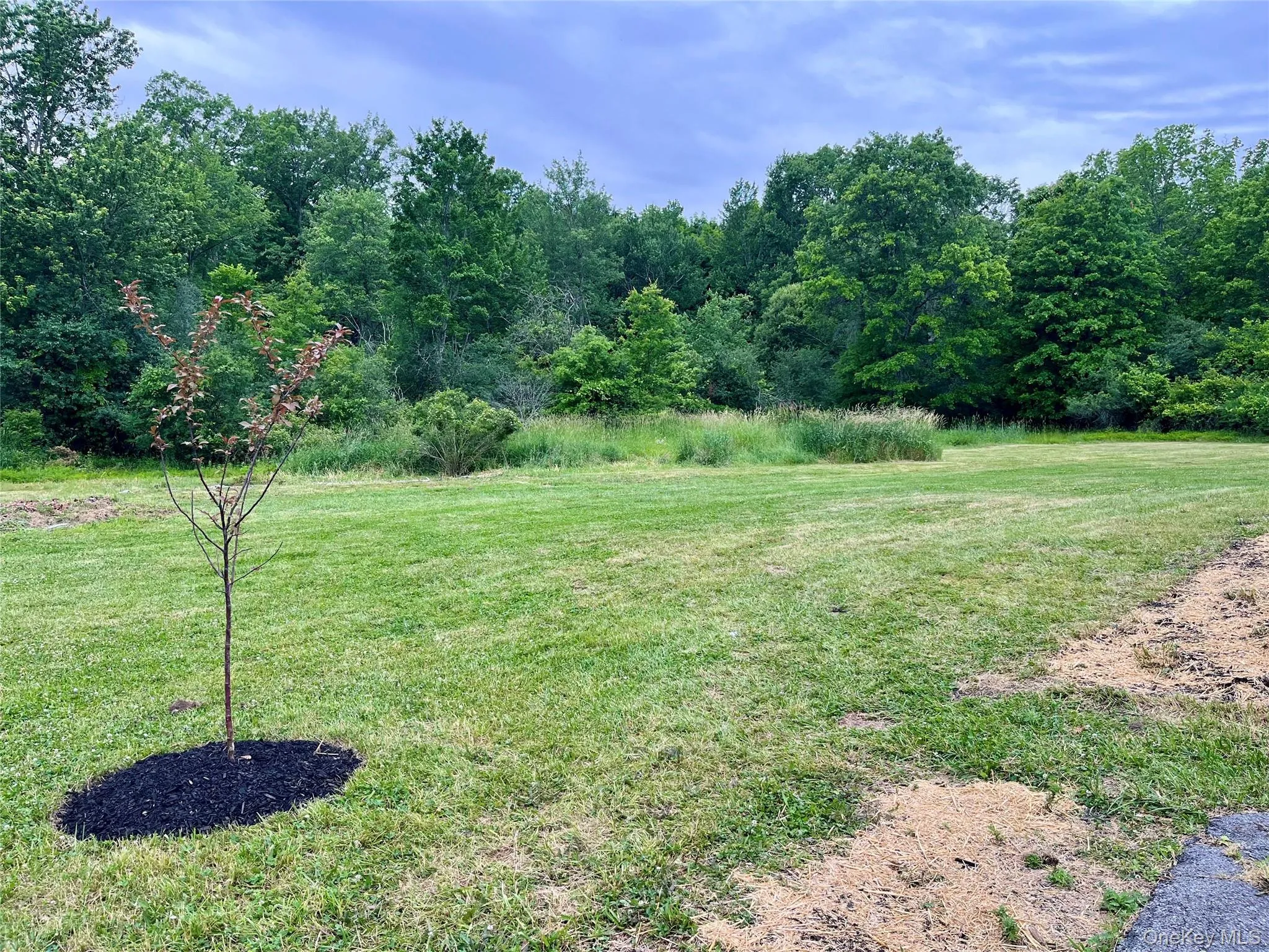 1037 Ridgebury Road, Wawayanda, NY, 3 Bedrooms Bedrooms, 9 Rooms Rooms,2 BathroomsBathrooms,Residential,For Rent,Ridgebury,0,1008075 1037 Ridgebury Road, Wawayanda, NY, 3 Bedrooms Bedrooms, 9 Rooms Rooms,2 BathroomsBathrooms,Residential,For Rent,Ridgebury,0,1008075