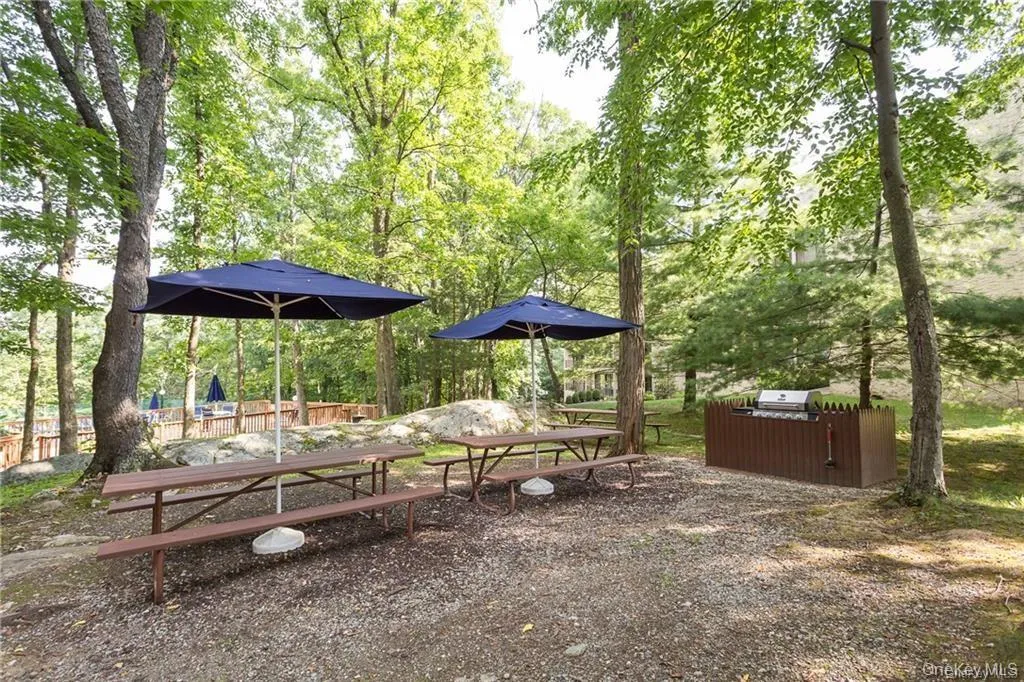 BBQ/Picnic area BBQ/Picnic area