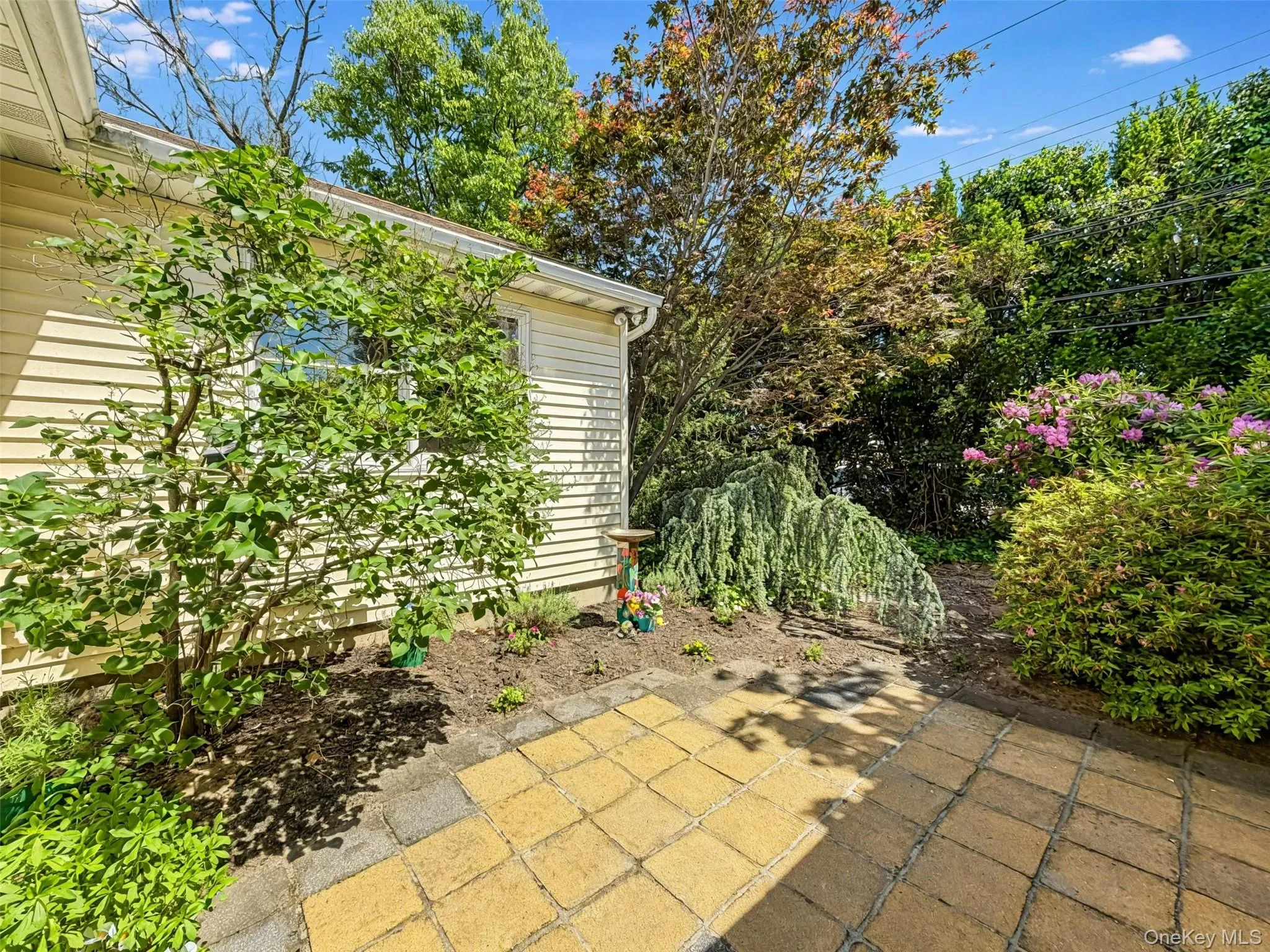 3584 Condor Road, Hempstead, NY, 3 Bedrooms Bedrooms, 9 Rooms Rooms,2 BathroomsBathrooms,Residential,For Rent,Condor,0,1008094 3584 Condor Road, Hempstead, NY, 3 Bedrooms Bedrooms, 9 Rooms Rooms,2 BathroomsBathrooms,Residential,For Rent,Condor,0,1008094