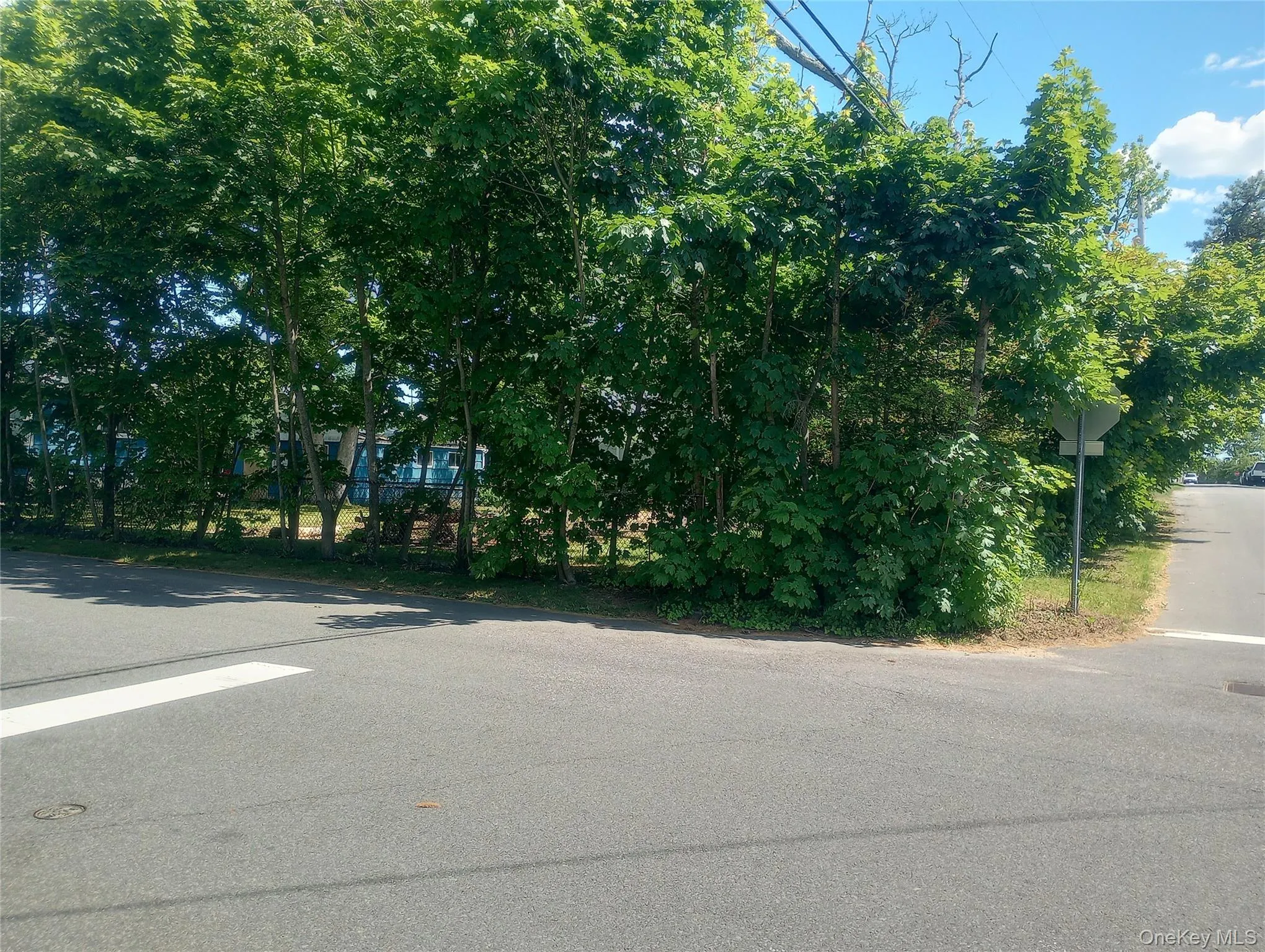 78A Claremont Avenue, West Babylon, NY, ,Land,For Rent,Claremont,0,1008107 78A Claremont Avenue, West Babylon, NY, ,Land,For Rent,Claremont,0,1008107