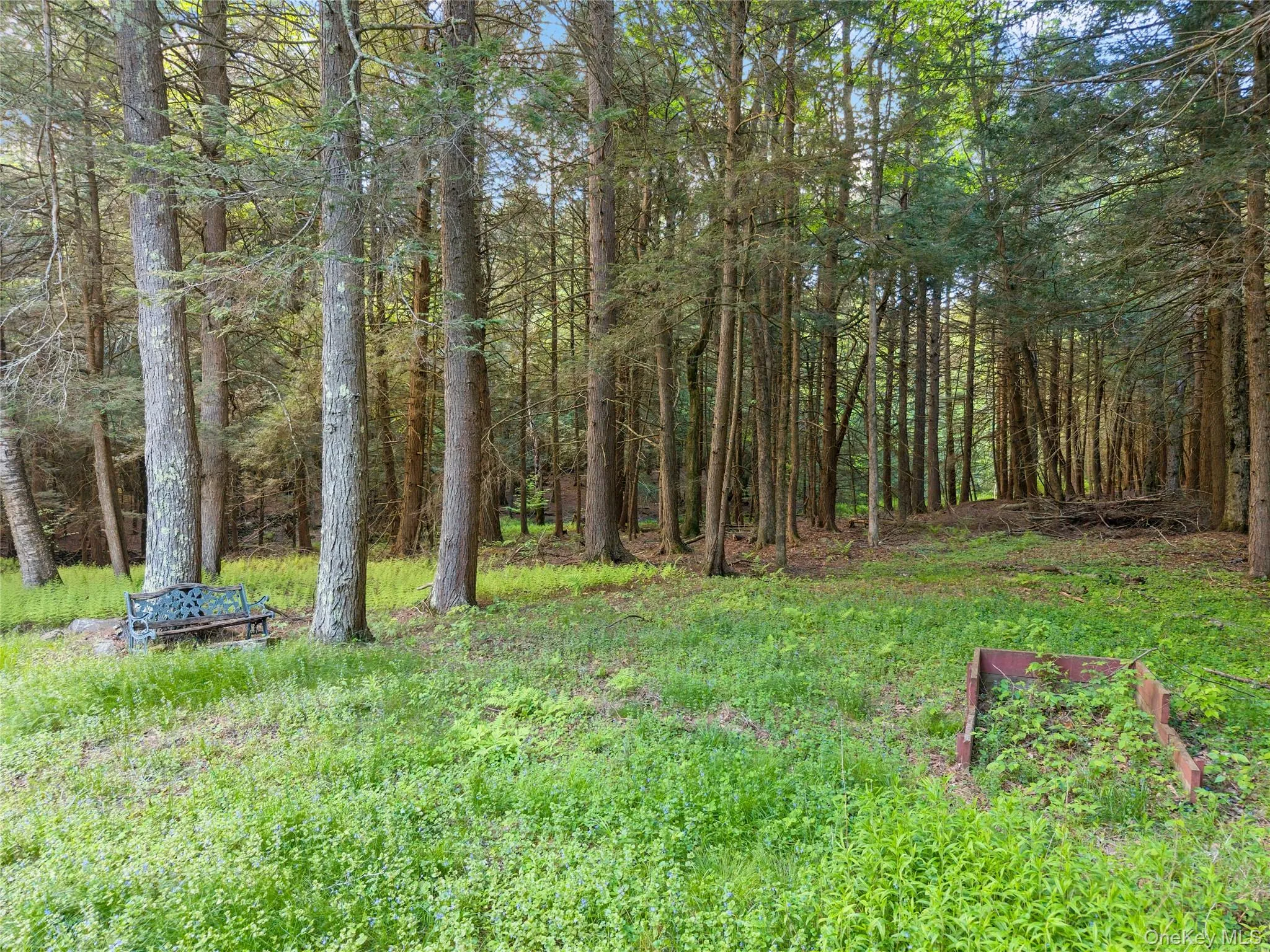 202 Blakesley Road, Out Of Area, NY, 2 Bedrooms Bedrooms, 6 Rooms Rooms,1 BathroomBathrooms,Residential,For Rent,Blakesley,0,1008108 202 Blakesley Road, Out Of Area, NY, 2 Bedrooms Bedrooms, 6 Rooms Rooms,1 BathroomBathrooms,Residential,For Rent,Blakesley,0,1008108